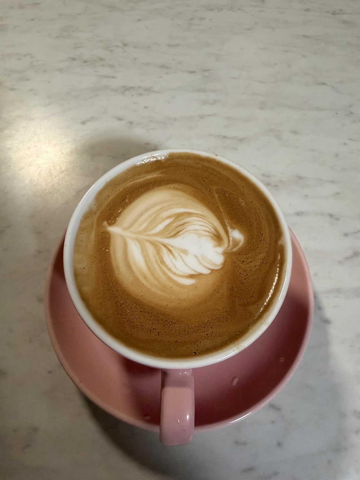 DeeCoo 11 oz White Cappuccino Mug- Large Ceramic Coffee Cup with Saucer - Microwave and Dishwasher Safe, Perfect For Tea, Espresso, Latte - Porcelain Set for Kitchen or Cafe, Baristas, Great Gift Customer Review DeeCoo 11 oz White Cappuccino Mug- Large Ceramic Coffee Cup with Saucer - Microwave and Dishwasher Safe, Perfect For Tea, Espresso, Latte - Porcelain Set for Kitchen or Cafe, Baristas, Great Gift - Customer Photo 1