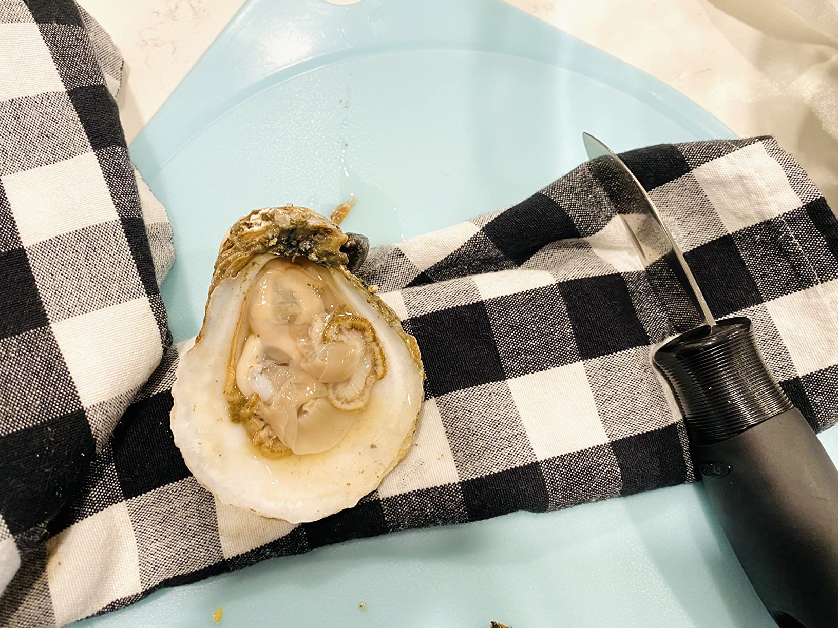 OXO Good Grips Stainless Steel Non-Slip Oyster Knife customer photo 1