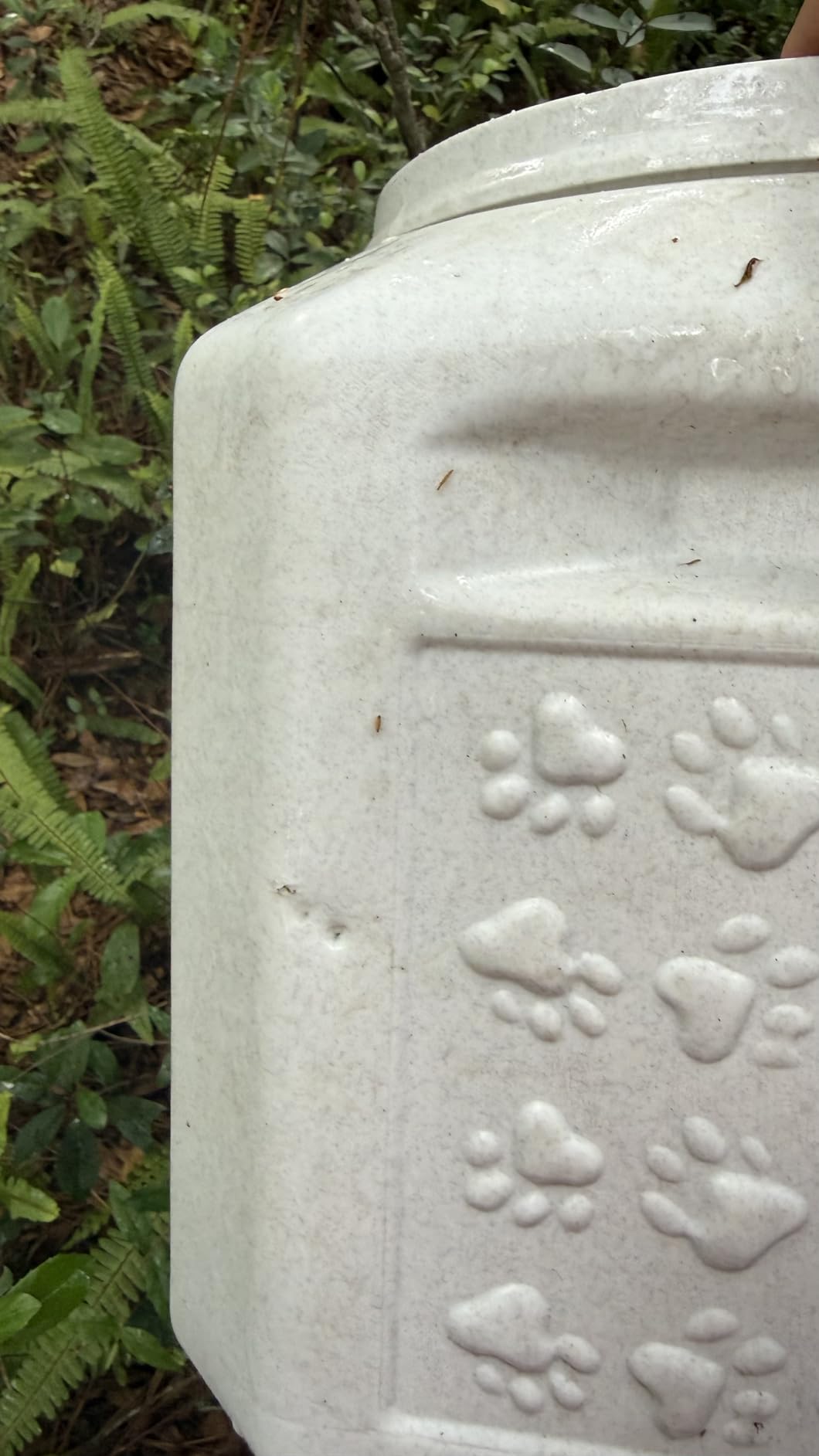 Gamma2 Vittles Vault Outback Airtight Pet Food Container, 40 Pounds customer photo 1