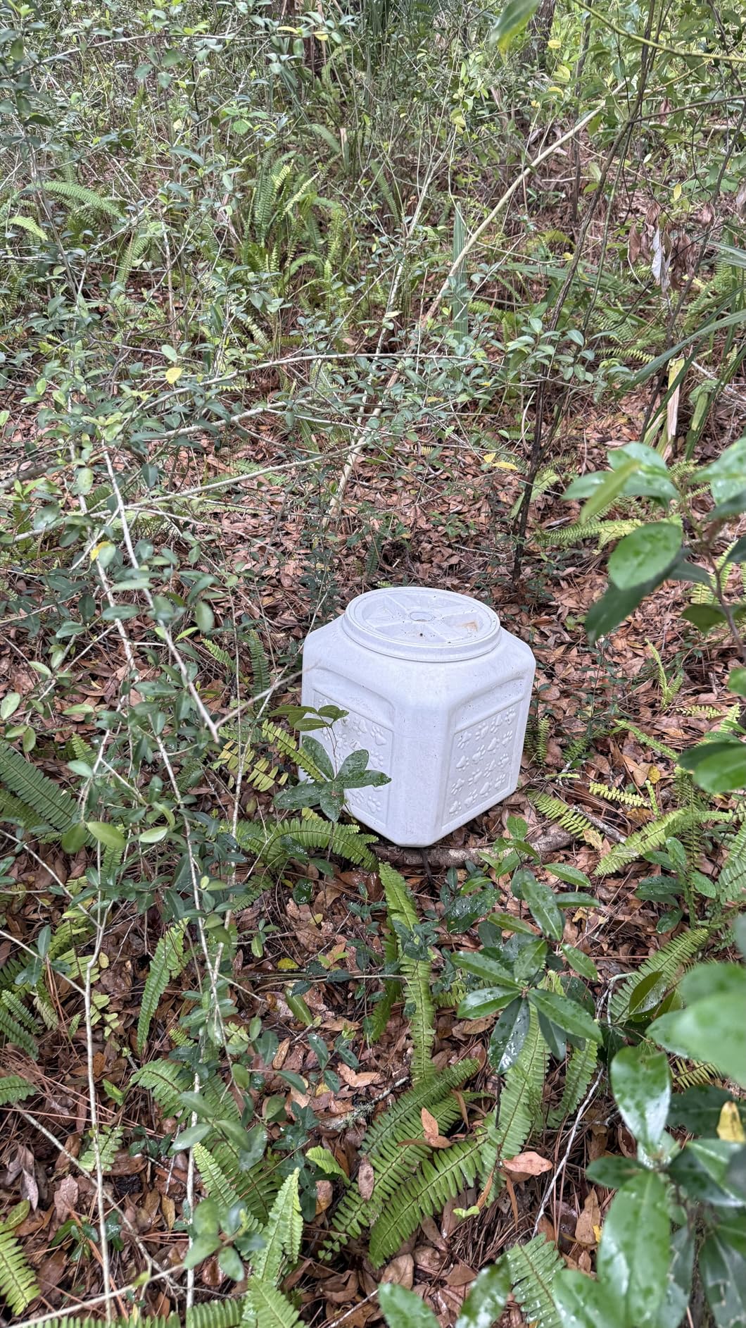 Gamma2 Vittles Vault Outback Airtight Pet Food Container, 40 Pounds customer photo 2