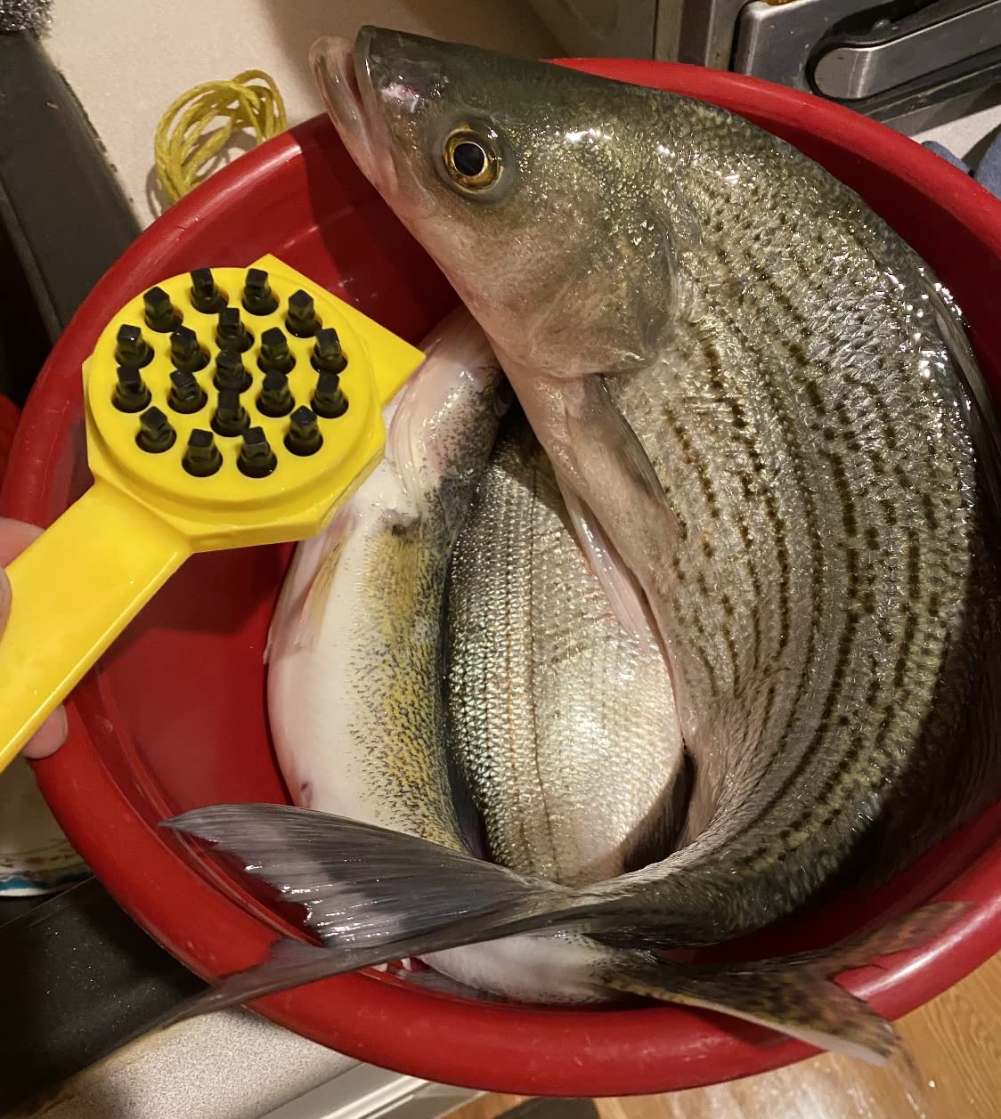 Big Norm-Feets 88111 Magic Fish Scaler customer photo 1