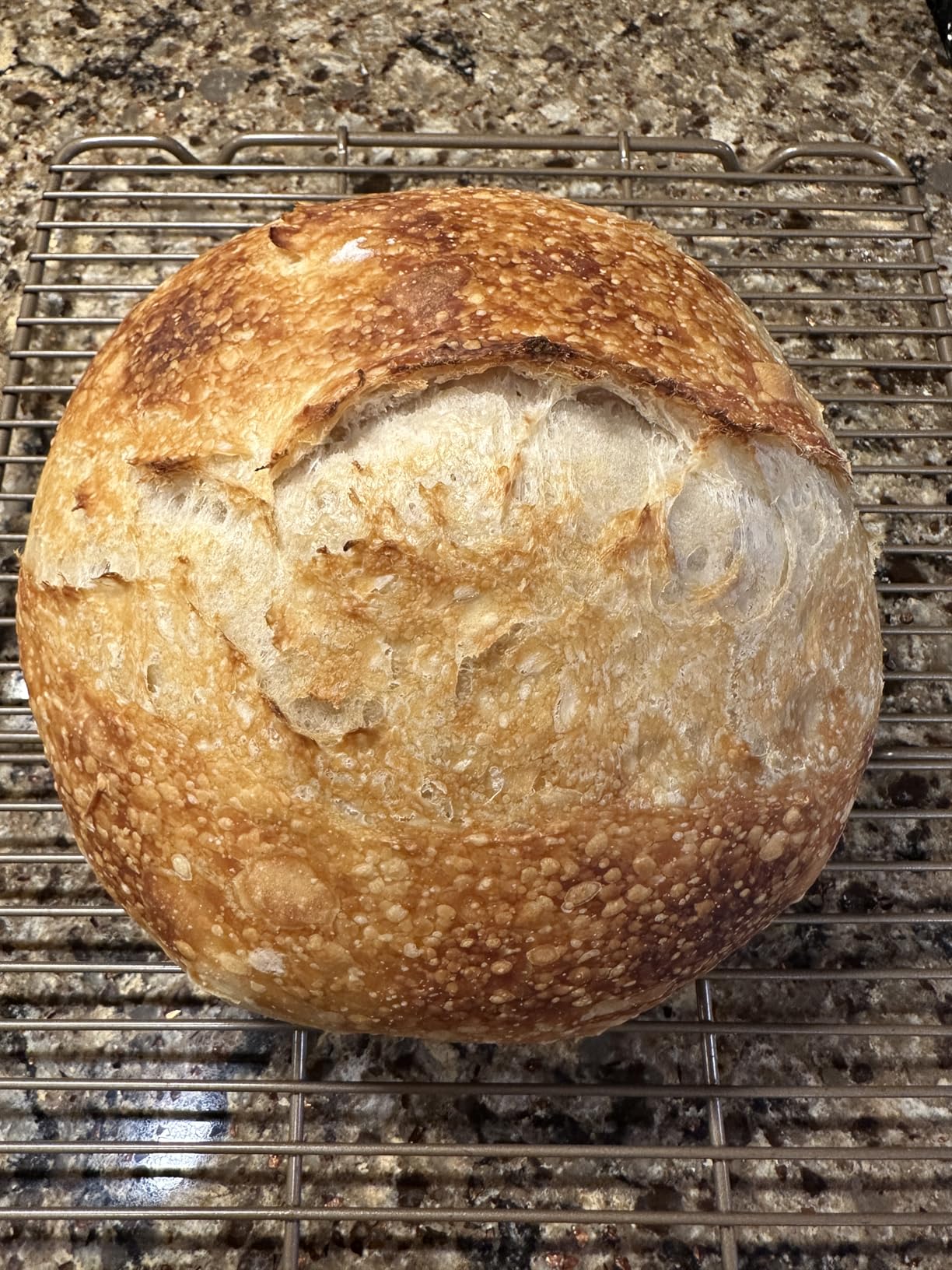 Lodge Essential Enamel Cast Iron Dutch Oven - Perfect for Bread Baking, Braising, Marinating & Slow Cooking - Features Moisture-Sealing Lid & Dual Handles - Kitchen Essentials - 6 Quarts - Caribbean Blue customer photo 1