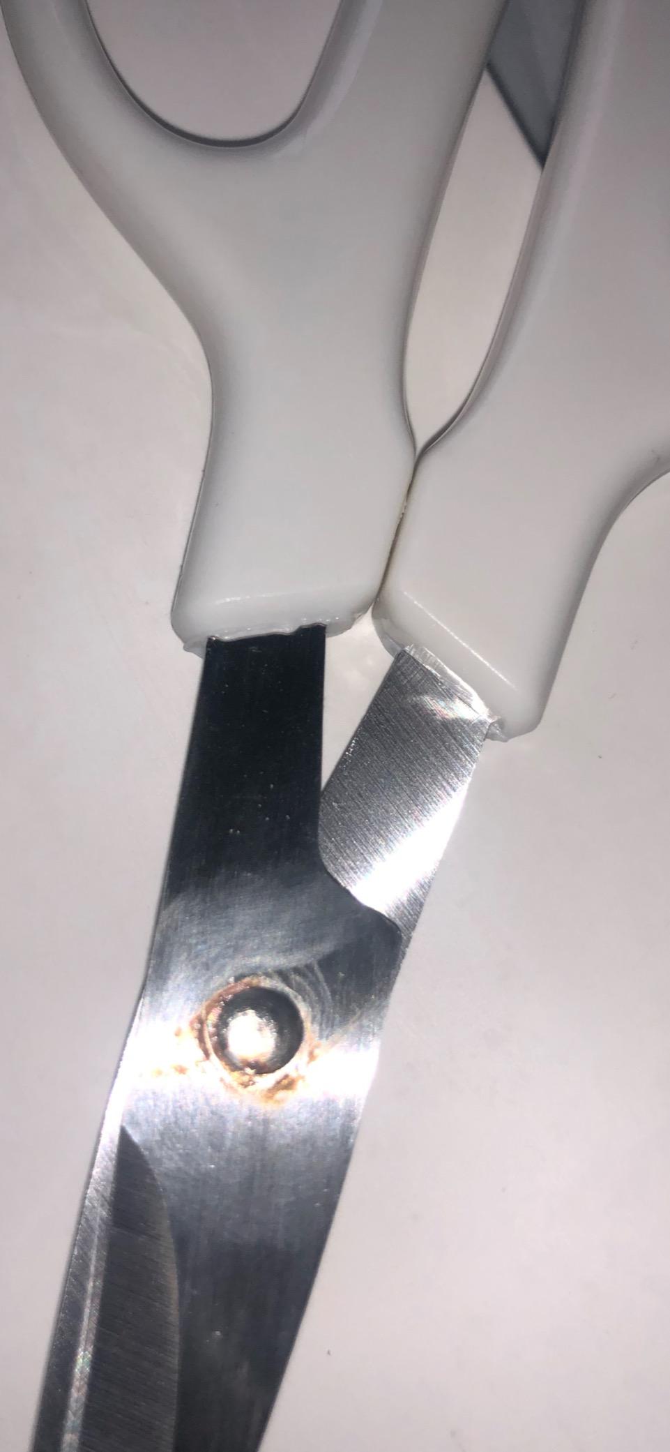 Norpro Shanghai Crab/Lobster Scissors, 6in/15cm, As Shown customer photo 1