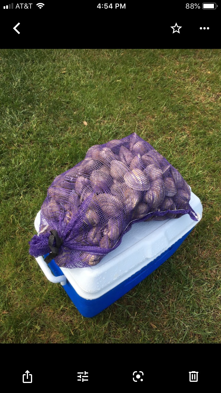 Dexter-Russell S127PCP Sani-Safe 10443 Clam Knife, 3