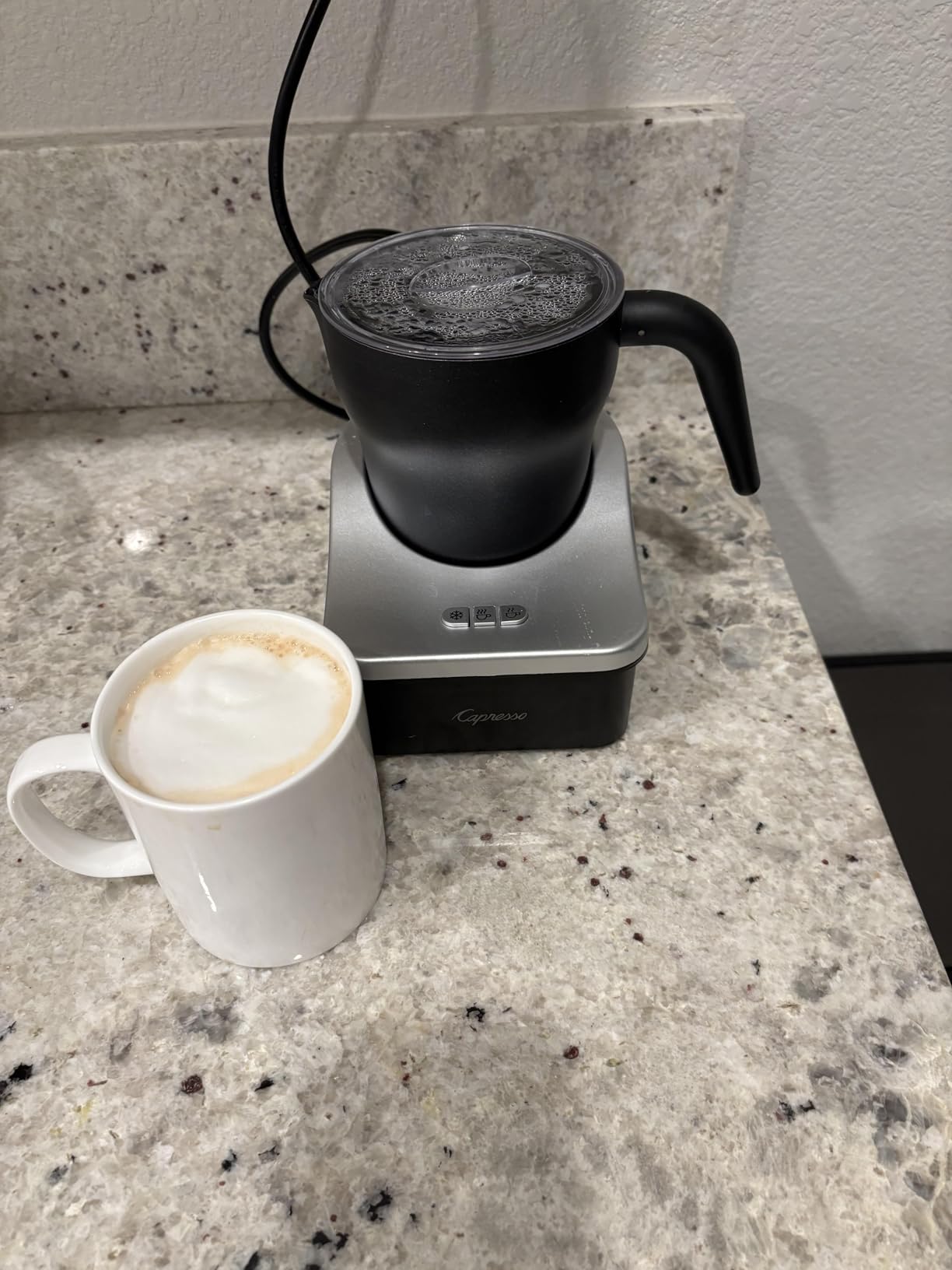 Capresso 202.04 froth PRO Automatic Milk Frother and Hot Chocolate Maker customer photo 1