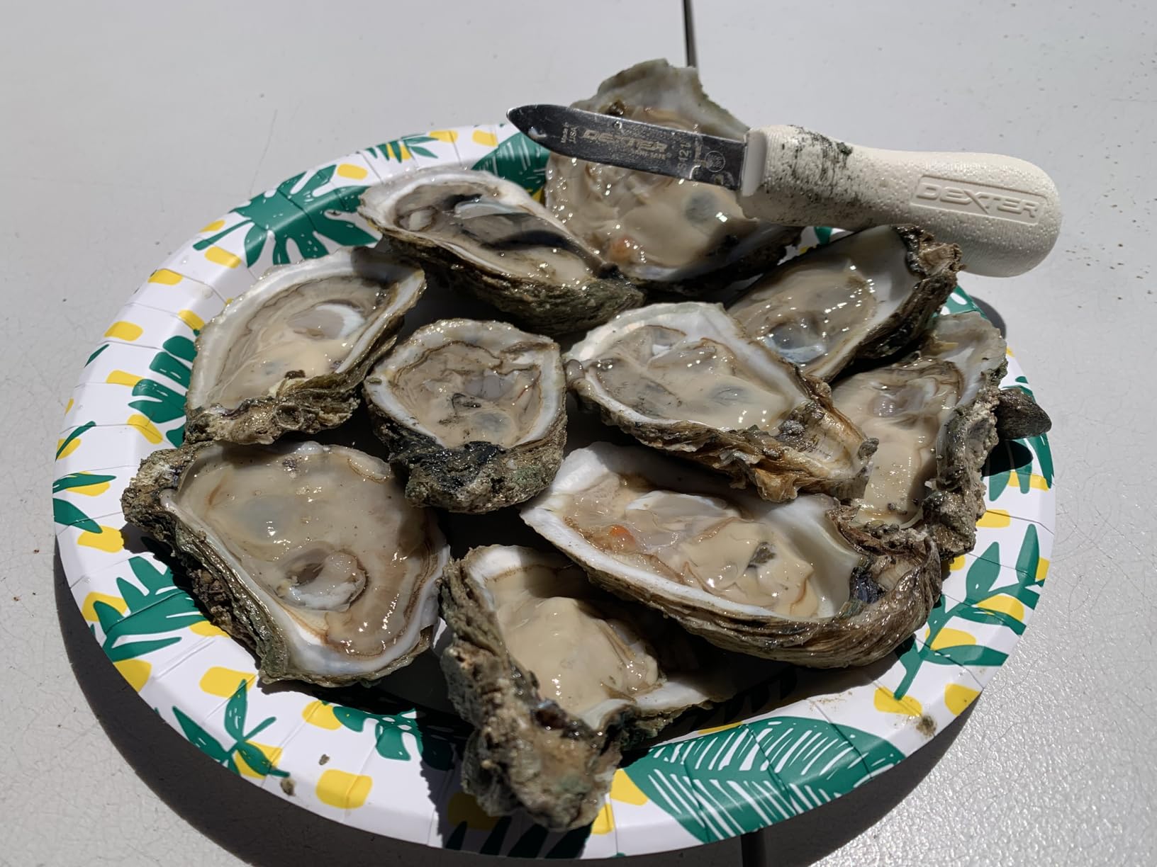 Dexter-Russell New Haven Style Oyster Knife | Sani-Safe | S121 | High-Carbon Stainless Steel customer photo 1