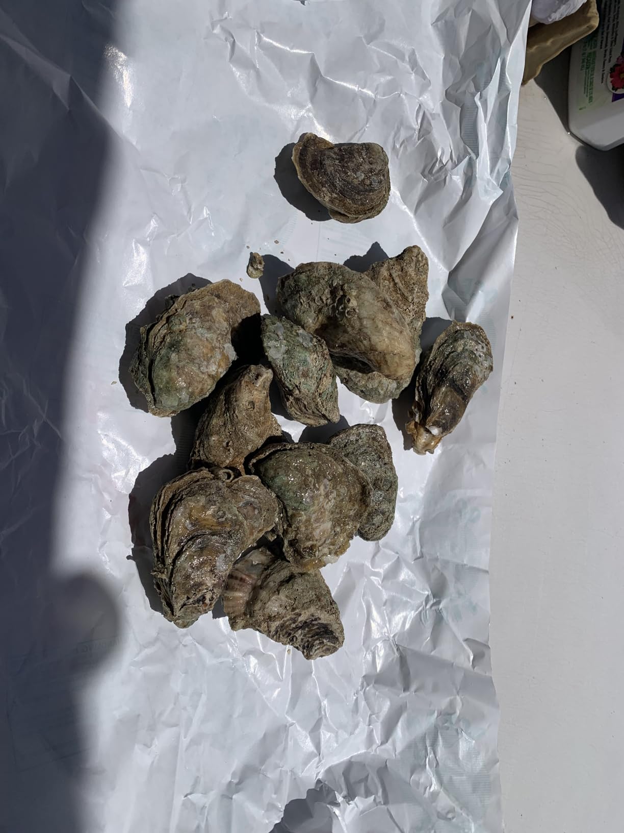 Dexter-Russell New Haven Style Oyster Knife | Sani-Safe | S121 | High-Carbon Stainless Steel customer photo 2