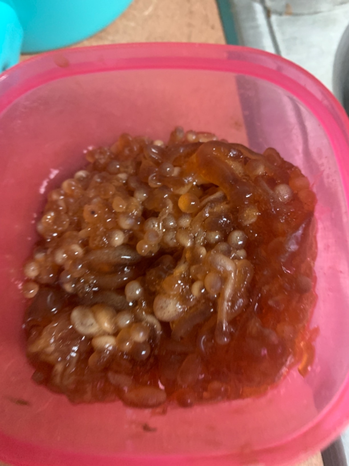 Spherification Kit [Molecular Gastronomy] ⊘ Non-GMO Vegan OU Kosher Certified Ingredients customer photo 1