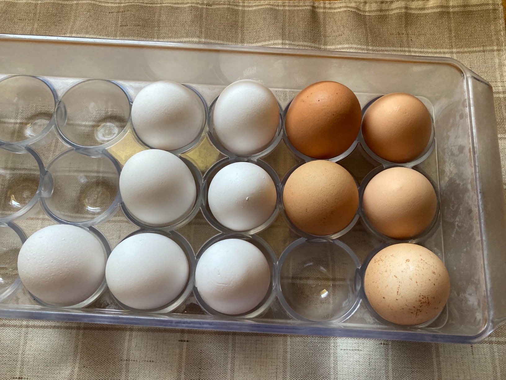 iDesign Clear Plastic Egg Holder for Fridge with Lid - 21 Egg Storage Container Organizer Bin customer photo 1