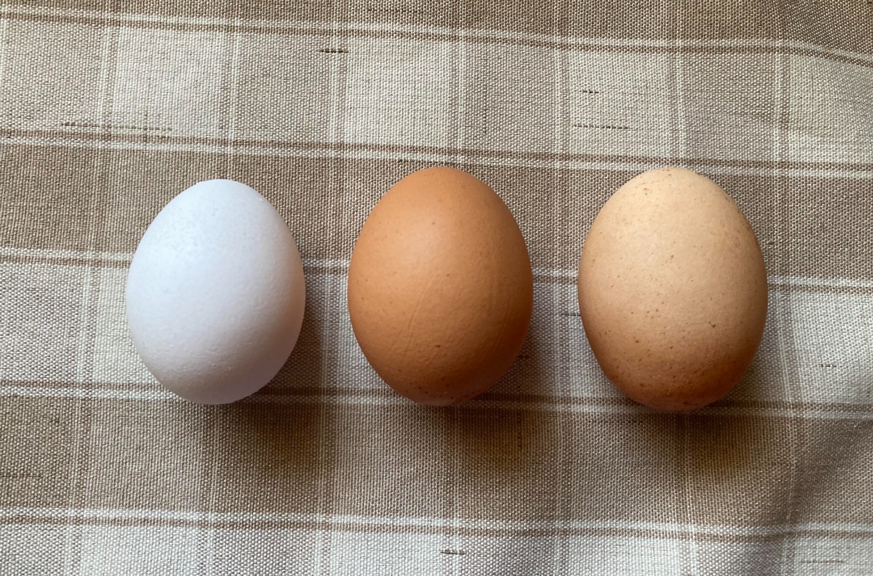 iDesign Clear Plastic Egg Holder for Fridge with Lid - 21 Egg Storage Container Organizer Bin customer photo 2