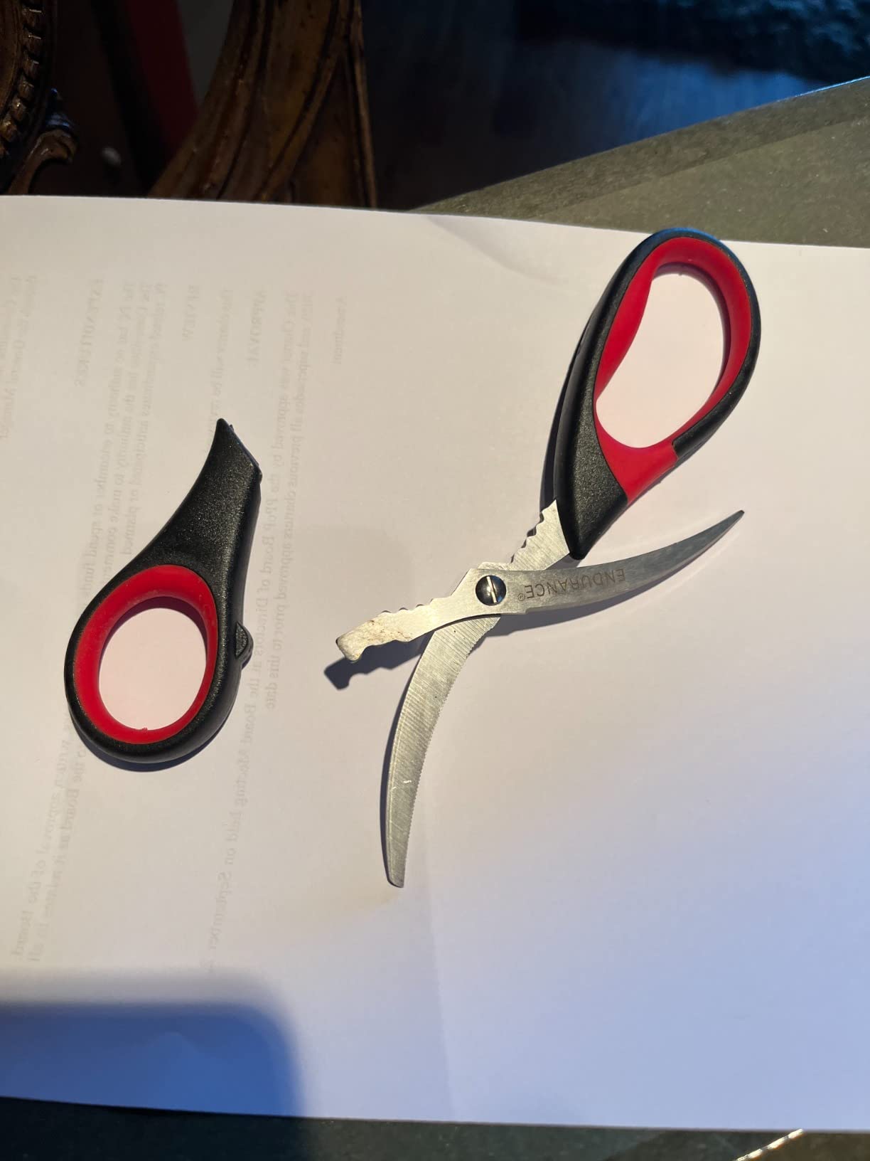 RSVP International Endurance Collection Seafood Tool, Scissors, Stainless Steel customer photo 2