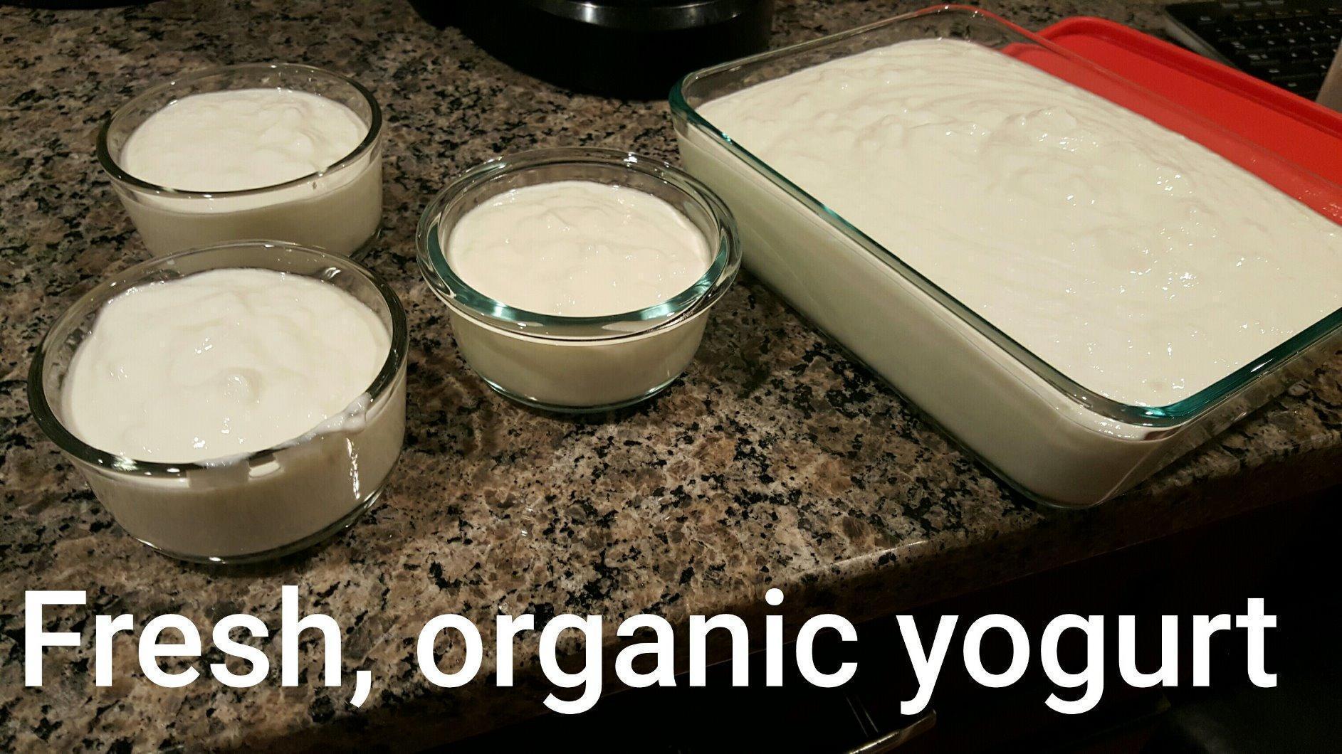 Instant Pot Duo 7-in-1 Electric Pressure Cooker, Slow Cooker, Rice, Steamer, Sauté, Yogurt Maker, Warmer & Sterilizer, Includes App With Over 800 Recipes, Stainless Steel, 6 Quart customer photo 2