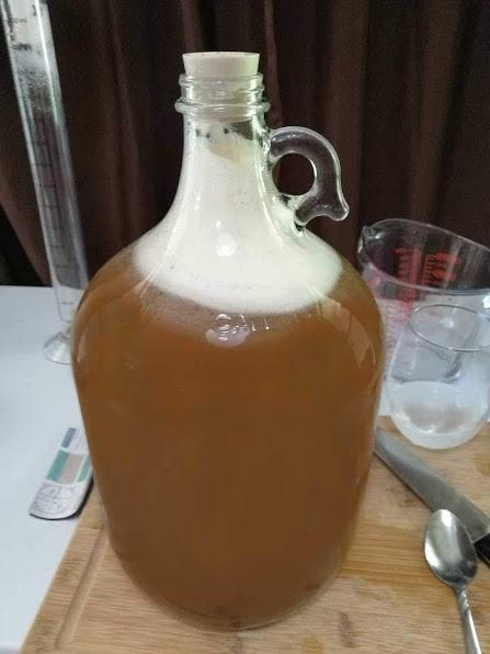 FastRack - Shepherd Made Mead Making Kit - 1 Gallon Jug Fermentation Set with Clear Glass Fermentation Jar, 3pc Airlocks, Rubber Stopper, Yeast Nutrient & Mead Yeast for Home Brewing customer photo 1