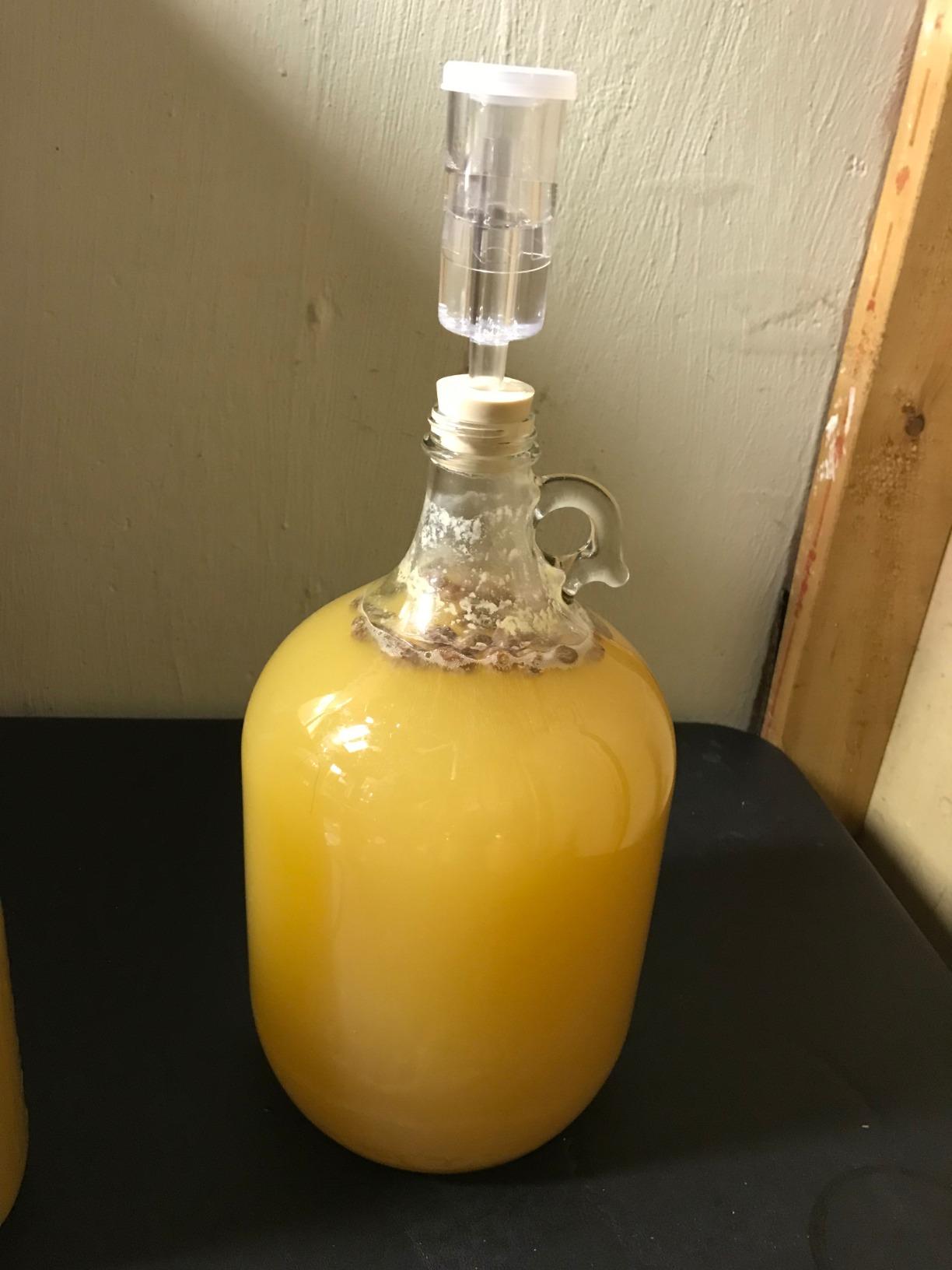 FastRack - Shepherd Made Mead Making Kit - 1 Gallon Jug Fermentation Set with Clear Glass Fermentation Jar, 3pc Airlocks, Rubber Stopper, Yeast Nutrient & Mead Yeast for Home Brewing customer photo 2