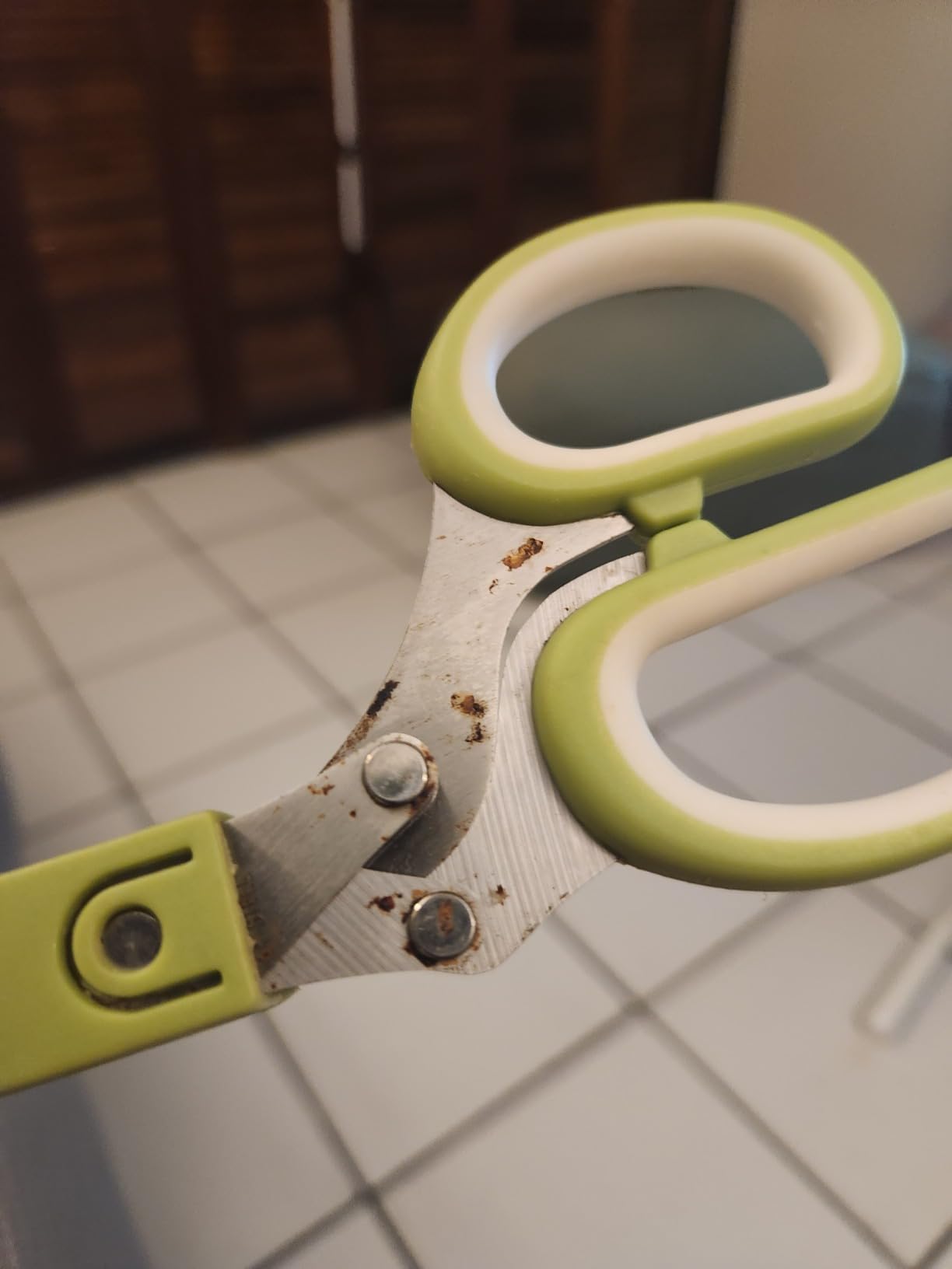 Jenaluca 5 Blade Herb Scissors - Cut & Chop Fresh Herbs & Leafy Greens - Salad Scissors - Stainless Steel Kitchen Shear Set with Cleaning Comb & Safety Cover - Kitchen Gadget - Green customer photo 1