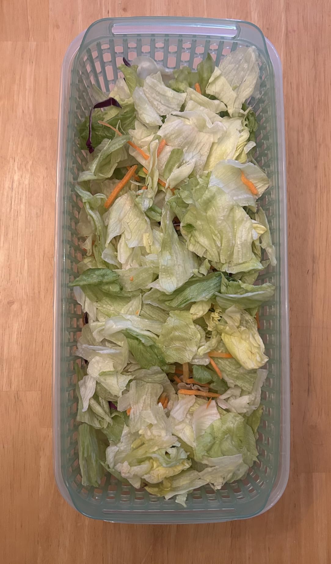 OXO Good Grips GreenSaver Produce Keeper - Large, White customer photo 1