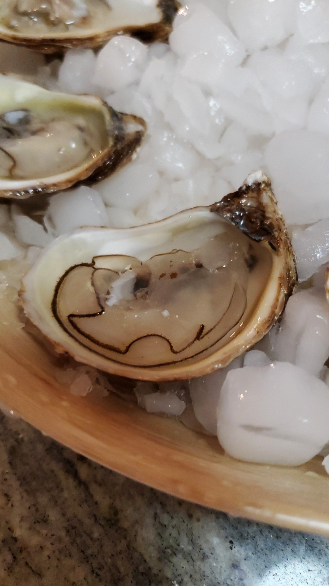 ZYLISS Oyster Tool and Knife Set, Shucker customer photo 2