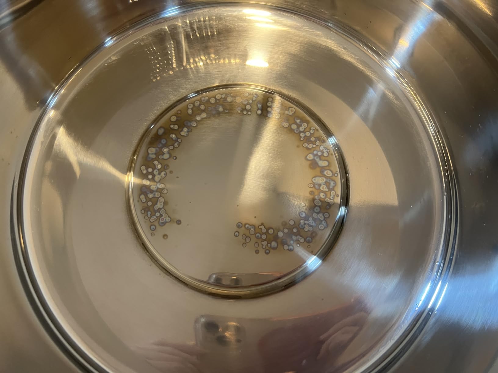 Euro Cuisine FS2500 Electric Food Steamer, Versatile Vegetable Steamer & Steam Cooker Ideal for Fish, Veggie, Meat, Stainless Steel 1200 Watts customer photo 1