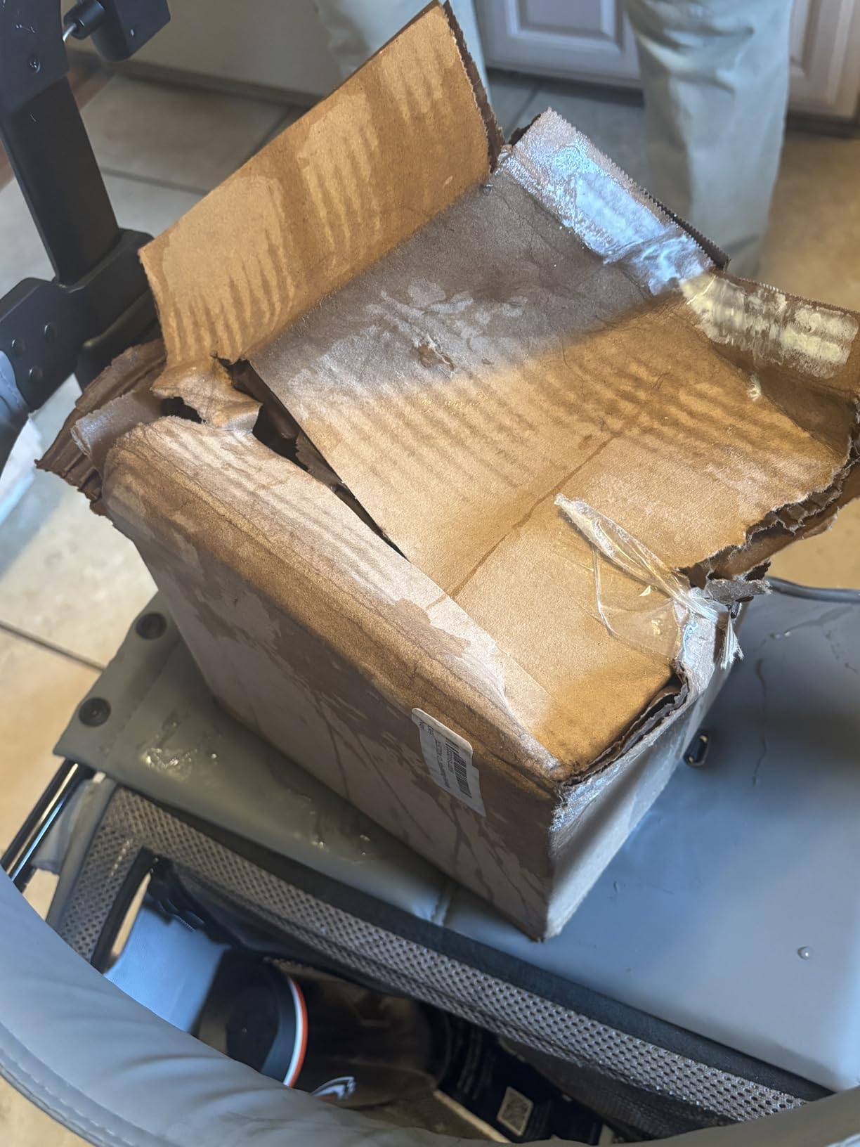 Borosilicate Glass Stove Top Whistling Tea Kettle - 12 Cup/48oz Capacity - BPA-Free - German Made Glass Kettle for Gas, Electric, and Glass Ranges customer photo 2