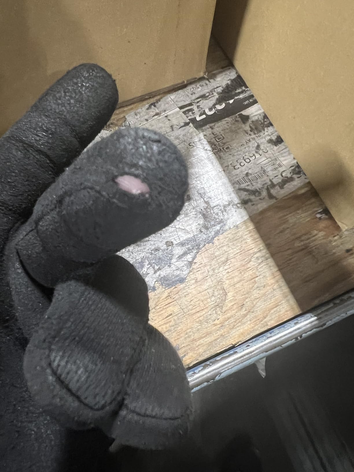 Mechanix Wear: Tactical Specialty Pursuit D5 Cut Resistant Covert Work Gloves (Large, All Black) customer photo 2