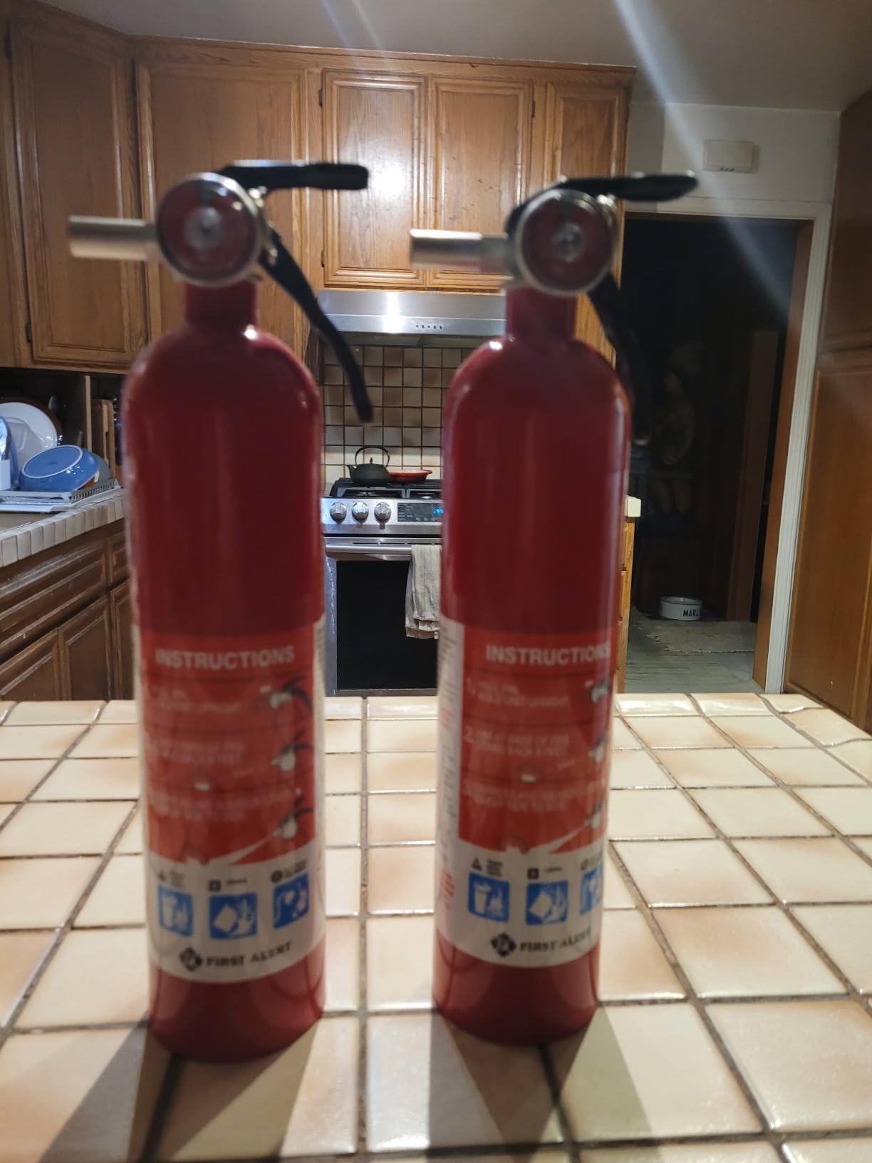 First Alert Fire Extinguisher for Home, Standard Rechargeable Compliance Unit, UL RATED 1-A:10-B:C, HOME1, Red, 1-Pack customer photo 2