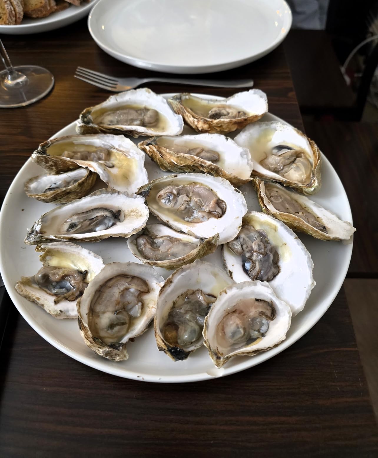 Rockland Guard Professional Oyster Shucking Kit - 3.5