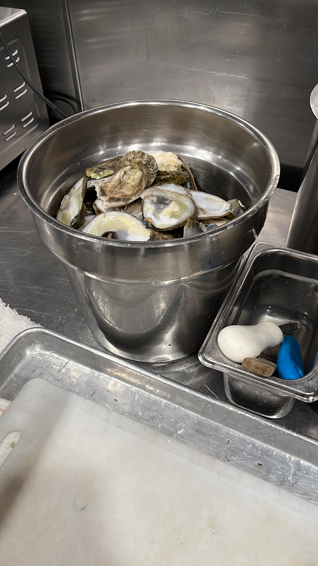 Mercer Culinary Boston Style Oyster Knife with Poly Handle, 3 Inch, White customer photo 2