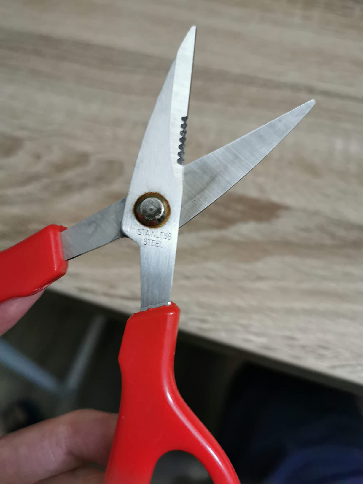 Maine Man Crab Seafood Scissors, Japanese Stainless Steel Blades, Serrated Precision Cuts For Crab And Lobster Shells customer photo 1