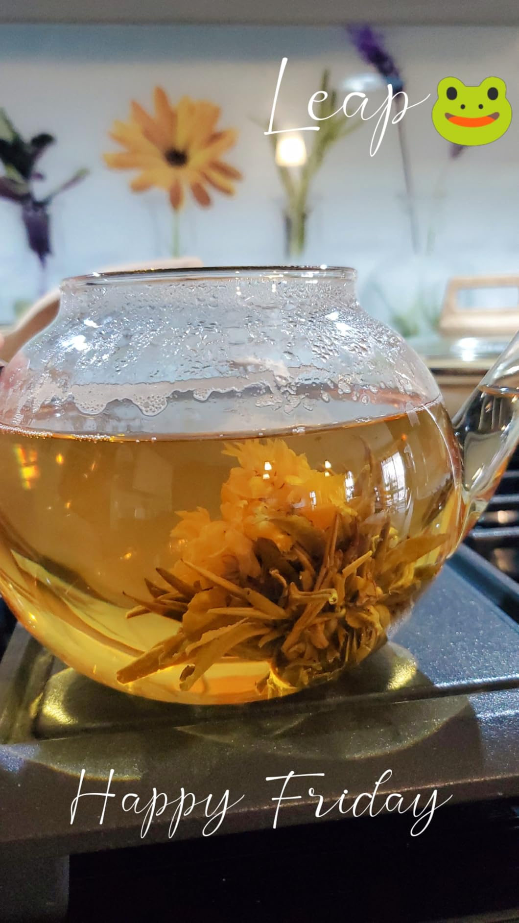 Teabloom Stovetop & Microwave Safe Glass Teapot with Removable Loose Tea Glass Infuser - Includes 2 Blooming Teas - 2-in-1 Tea Kettle and Tea Maker - Tea Purist's Choice customer photo 1