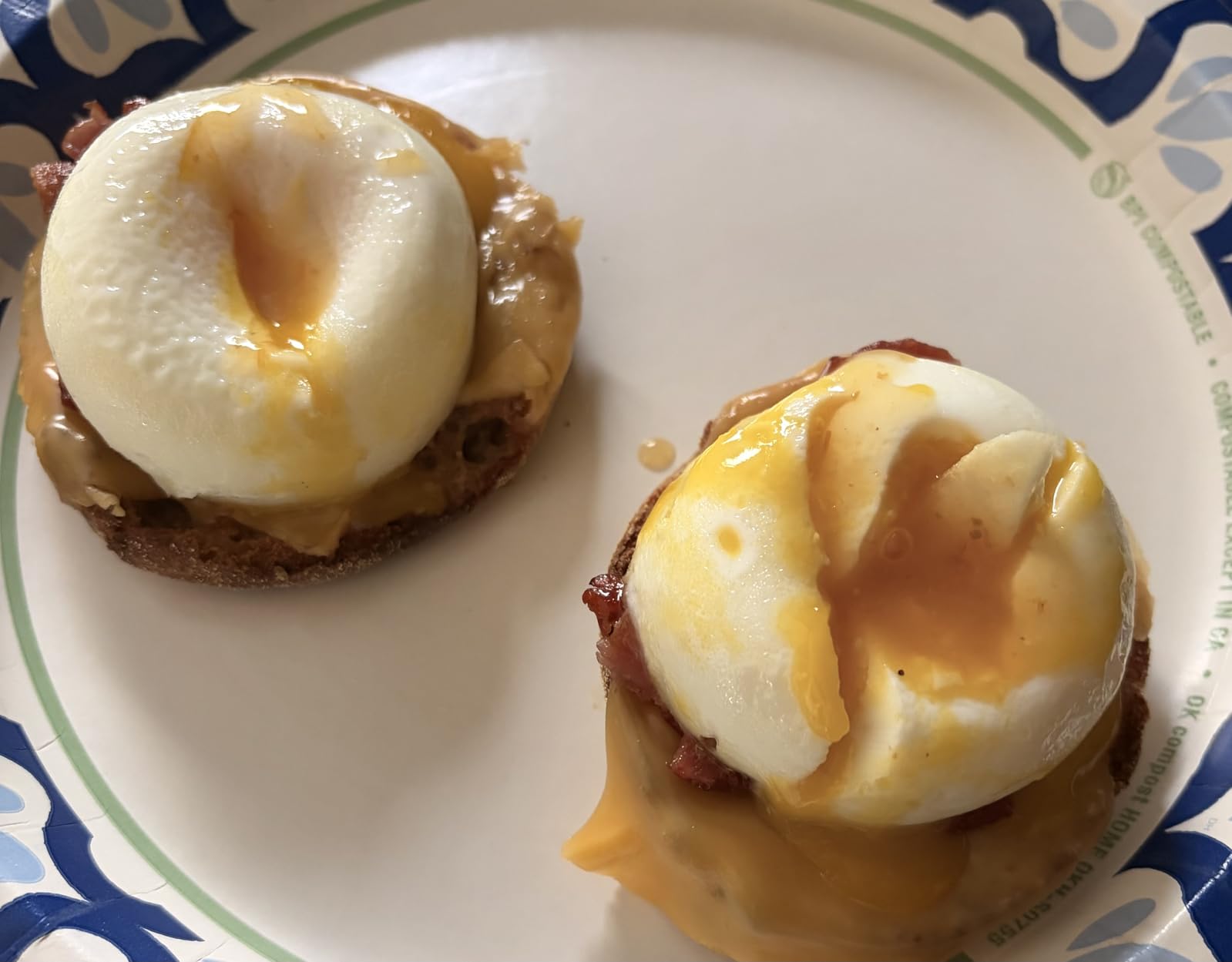 Egg Poacher - Eggssentials Poached Egg Maker, Stainless Steel Egg Poaching Pan, Poached Eggs Cooker Food Grade Safe PFOA Free with Spatula customer photo 1