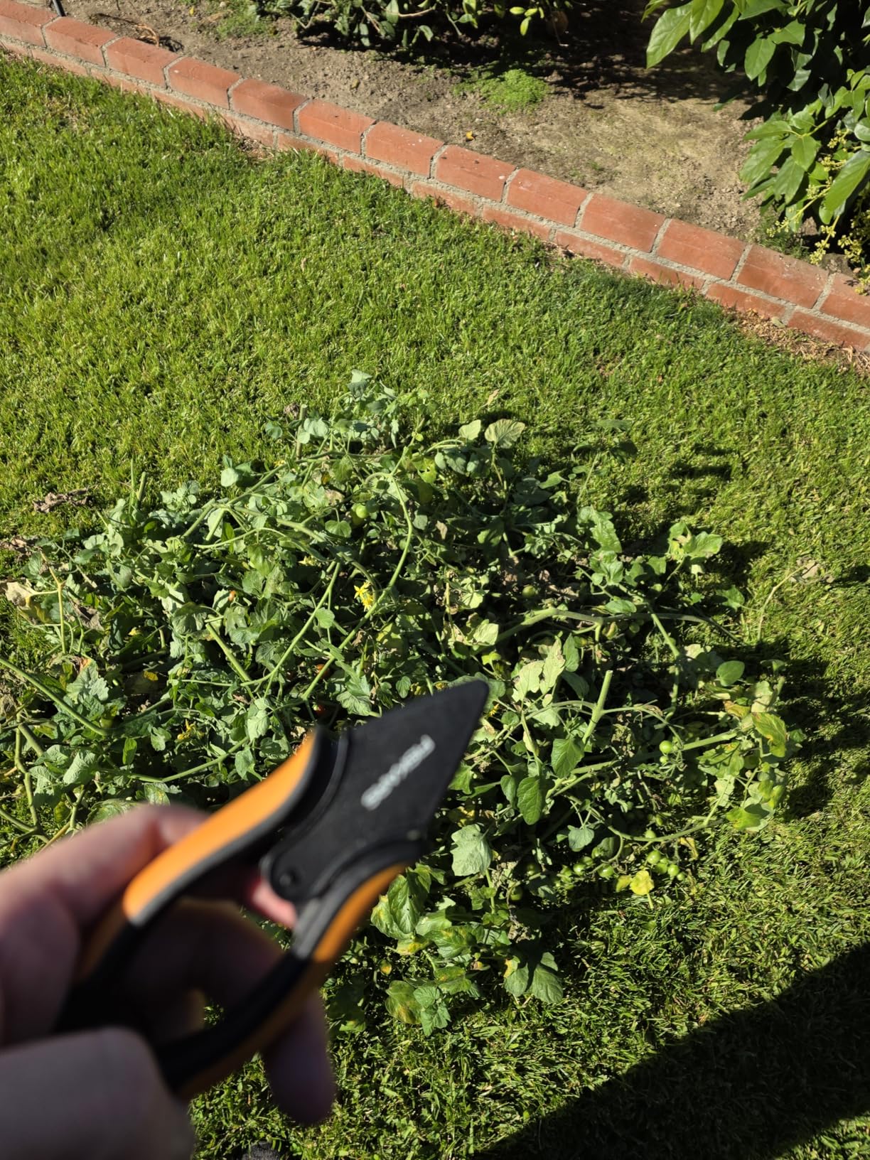 Fiskars Herb Garden Scissors, 5