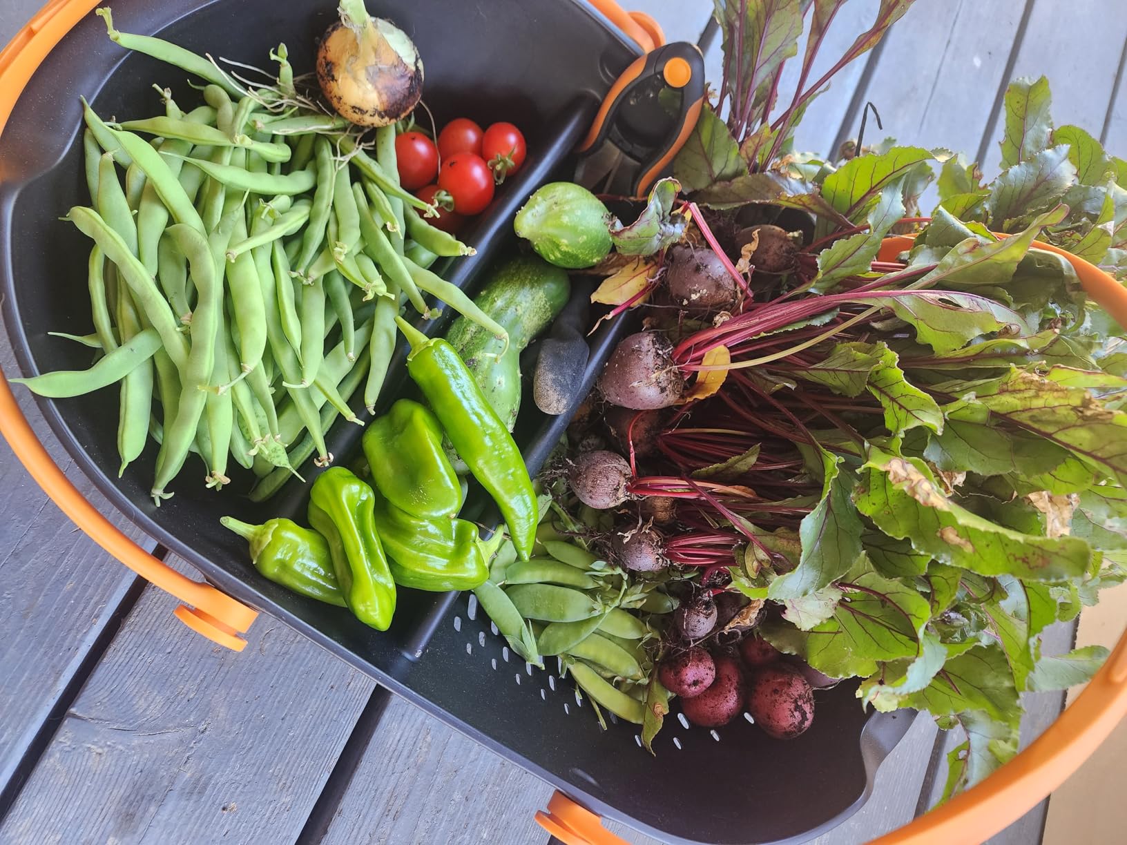 Fiskars Herb Garden Scissors, 5