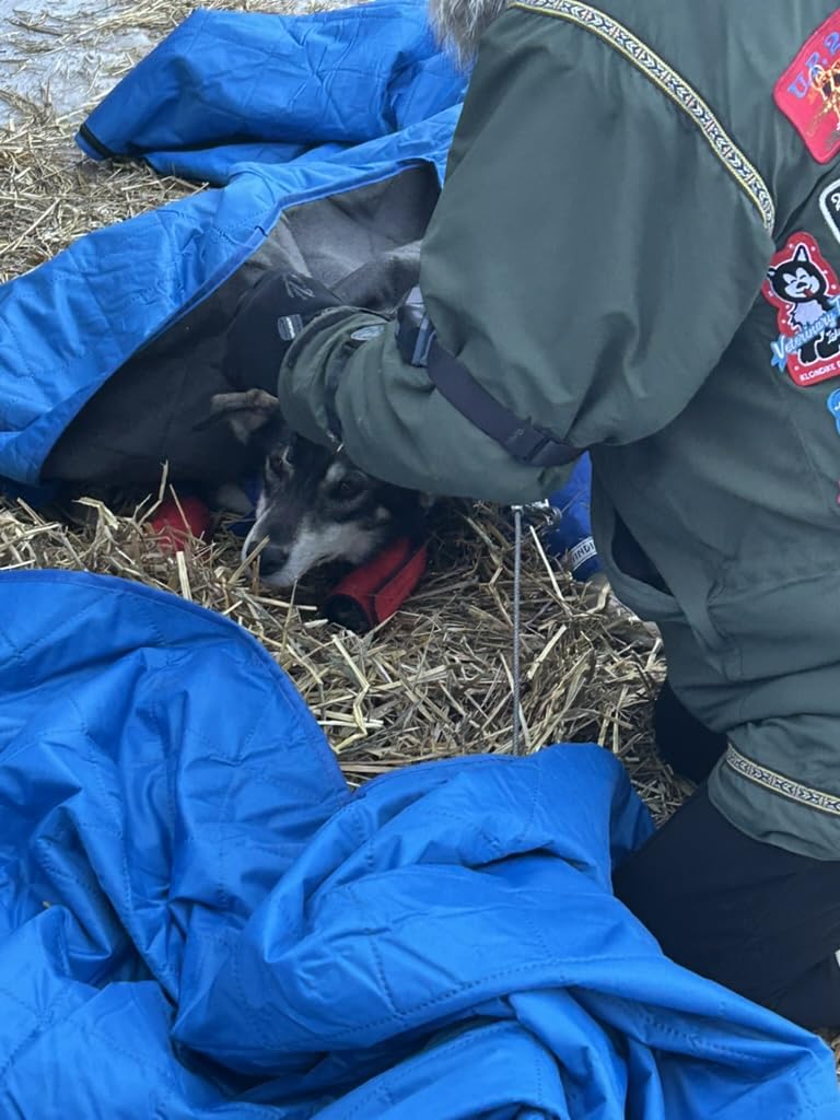 DOWN UNDER OUTDOORS Large Waterproof Windproof Extra Thick 350 GSM Quilted Fleece, or Sherpa Stadium Blanket customer photo 2