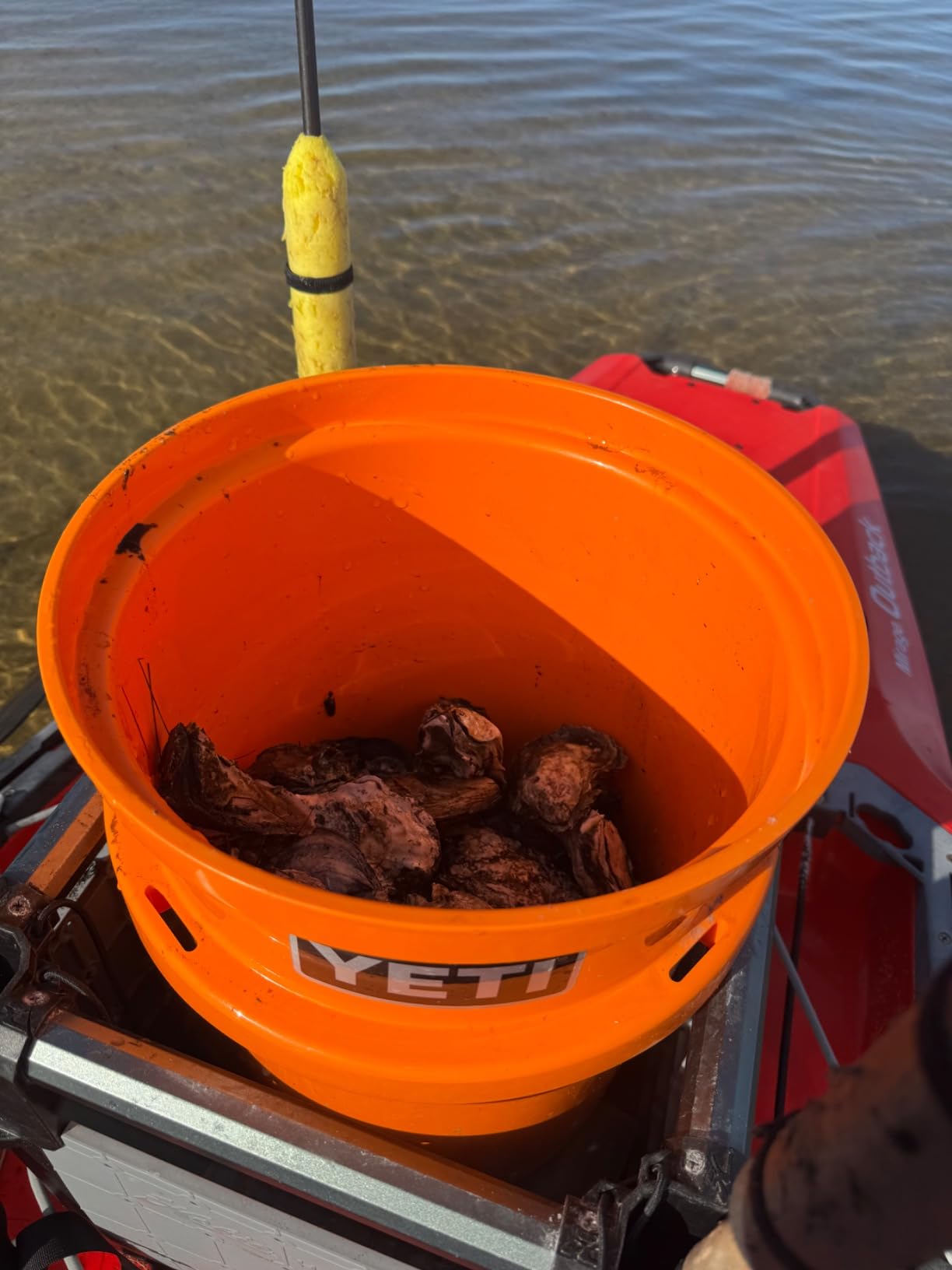 Oyster Knife Shucker Set Oyster Shucking Knife and Gloves Cut Resistant Level 5 Protection Seafood Opener Kit Tools Gift(2knifes+2Glove+1Cloth) customer photo 2