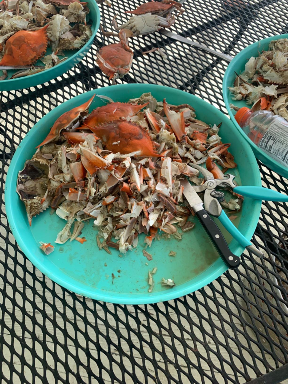 Toadfish Crab & Lobster Seafood Tool Set - 2 Shell Crackers With Cutters & 4 Multi-Use Forks - Non-Slip Grips - Stainless Steel - Built-In Bottle Opener - Makes A Beautiful Gift customer photo 1