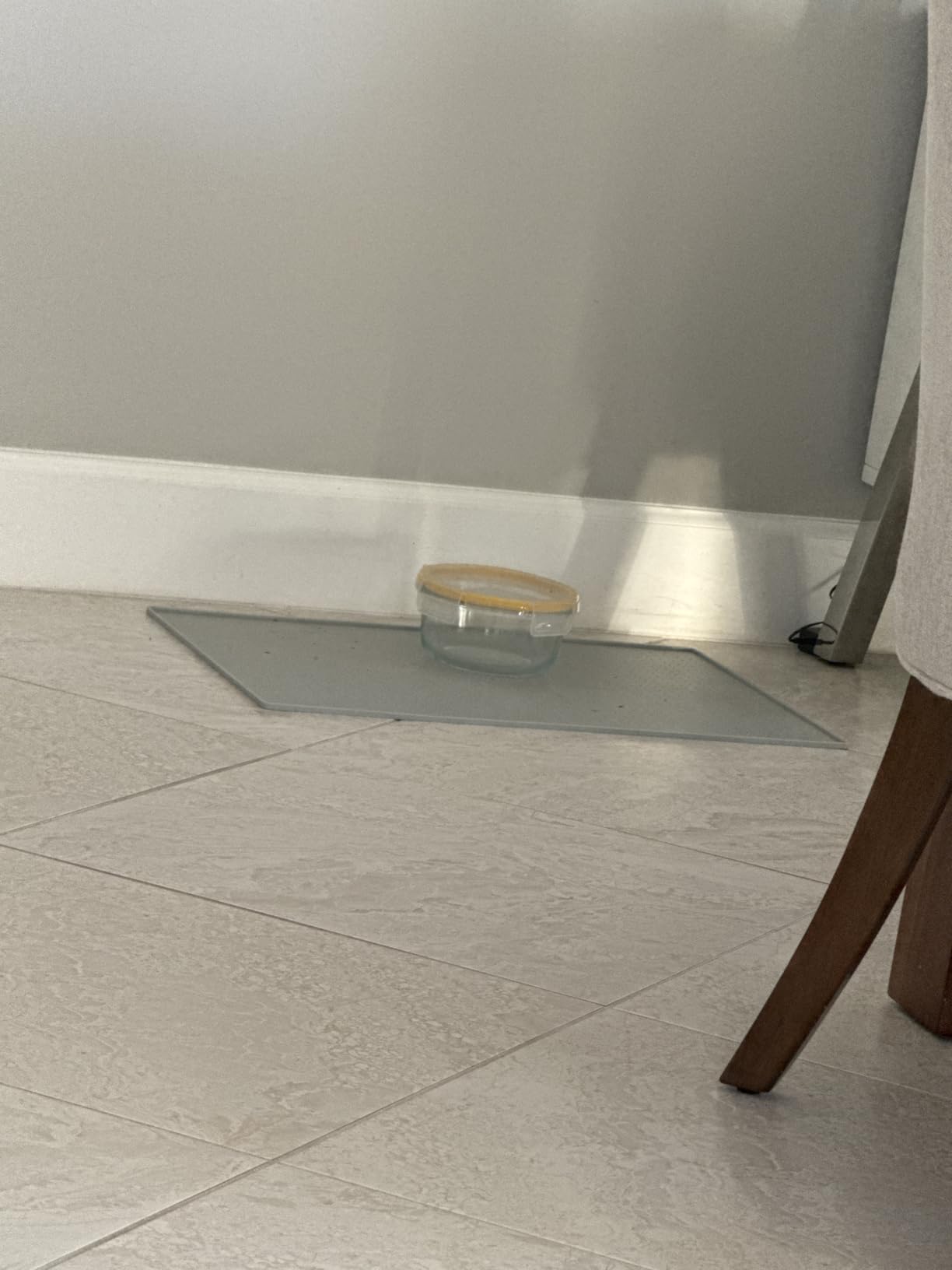 GORILLA GRIP 100% Waterproof Raised Edge BPA Free Silicone Pet Feeding Mat, Dog Cat Food Mats Contain Spills Protects Floors customer photo 1