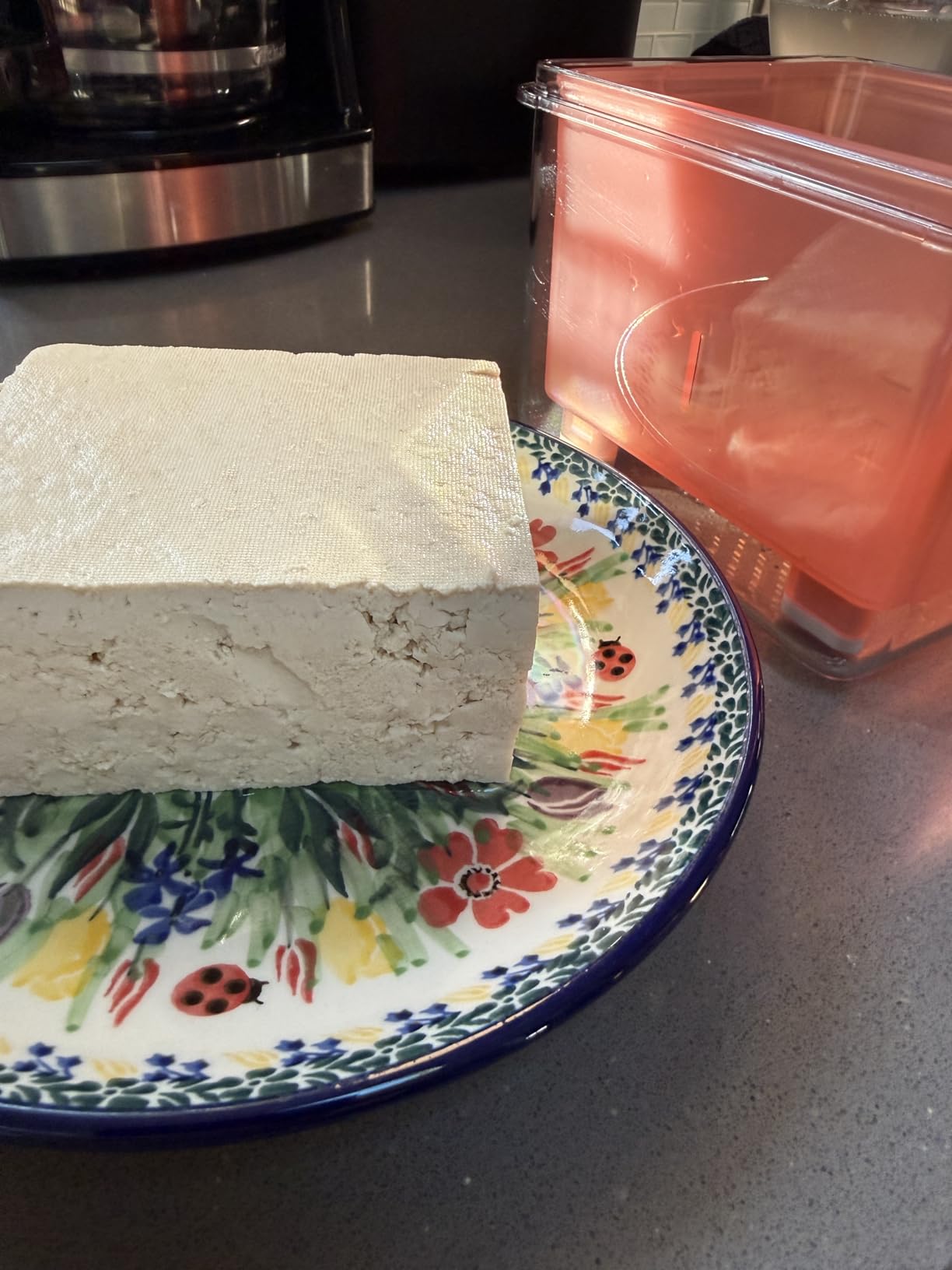 TOFUDEE Tofu Press for Vegan - Dishwasher Safe & BPA Free Tofu Presser that Swiftly Drains Water from Soft, Firm, Extra Firm & Organic Tofu Without Crack in just 15-20min - Enhanced Flavor & Texture customer photo 2