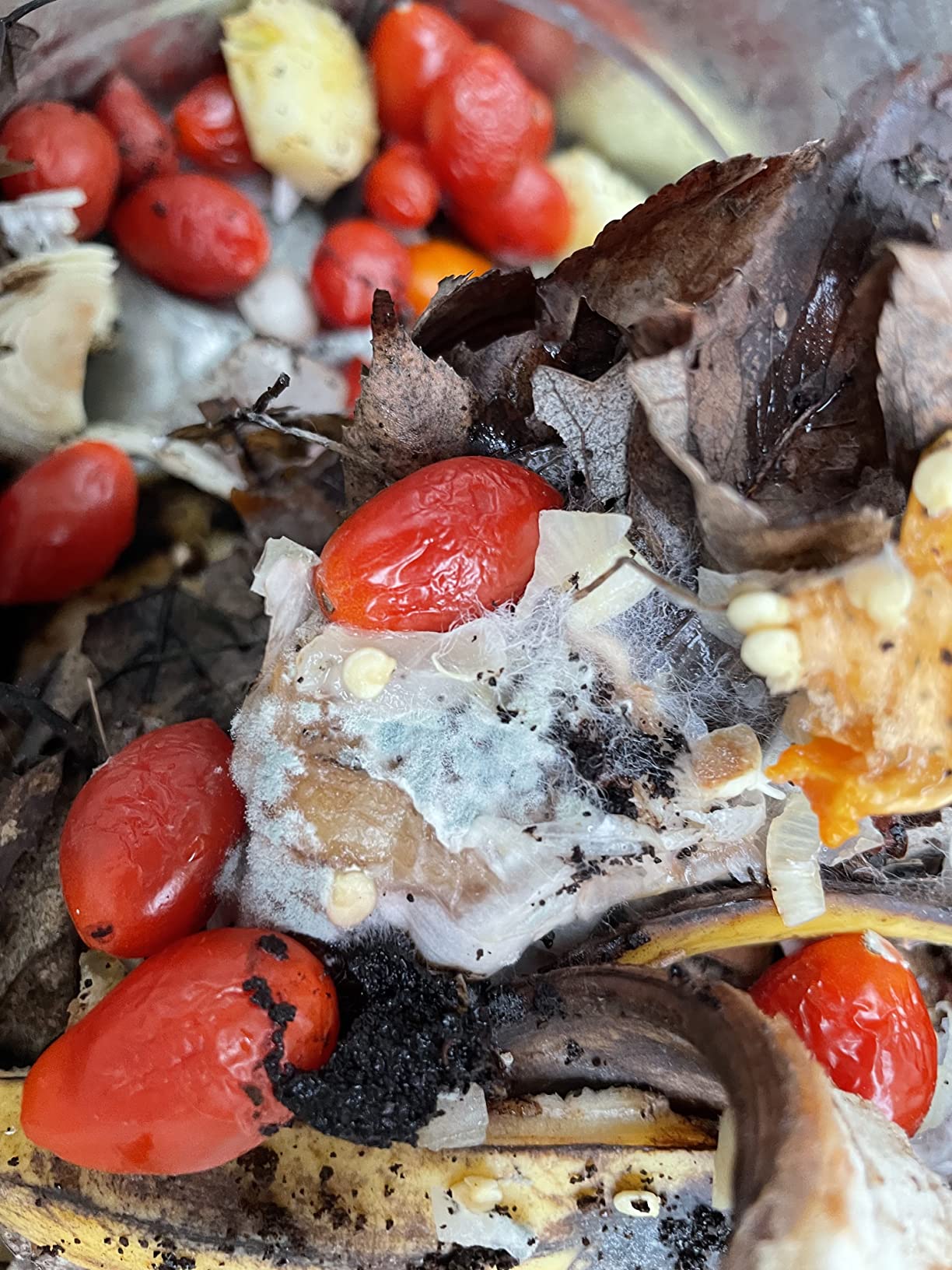 RED FACTOR Premium Compost Bin for Kitchen Countertop - Stainless Steel Food Waste Bucket with Innovative Dual Filter Technology - Includes Spare Filters (White, 1.3 Gallon) customer photo 2