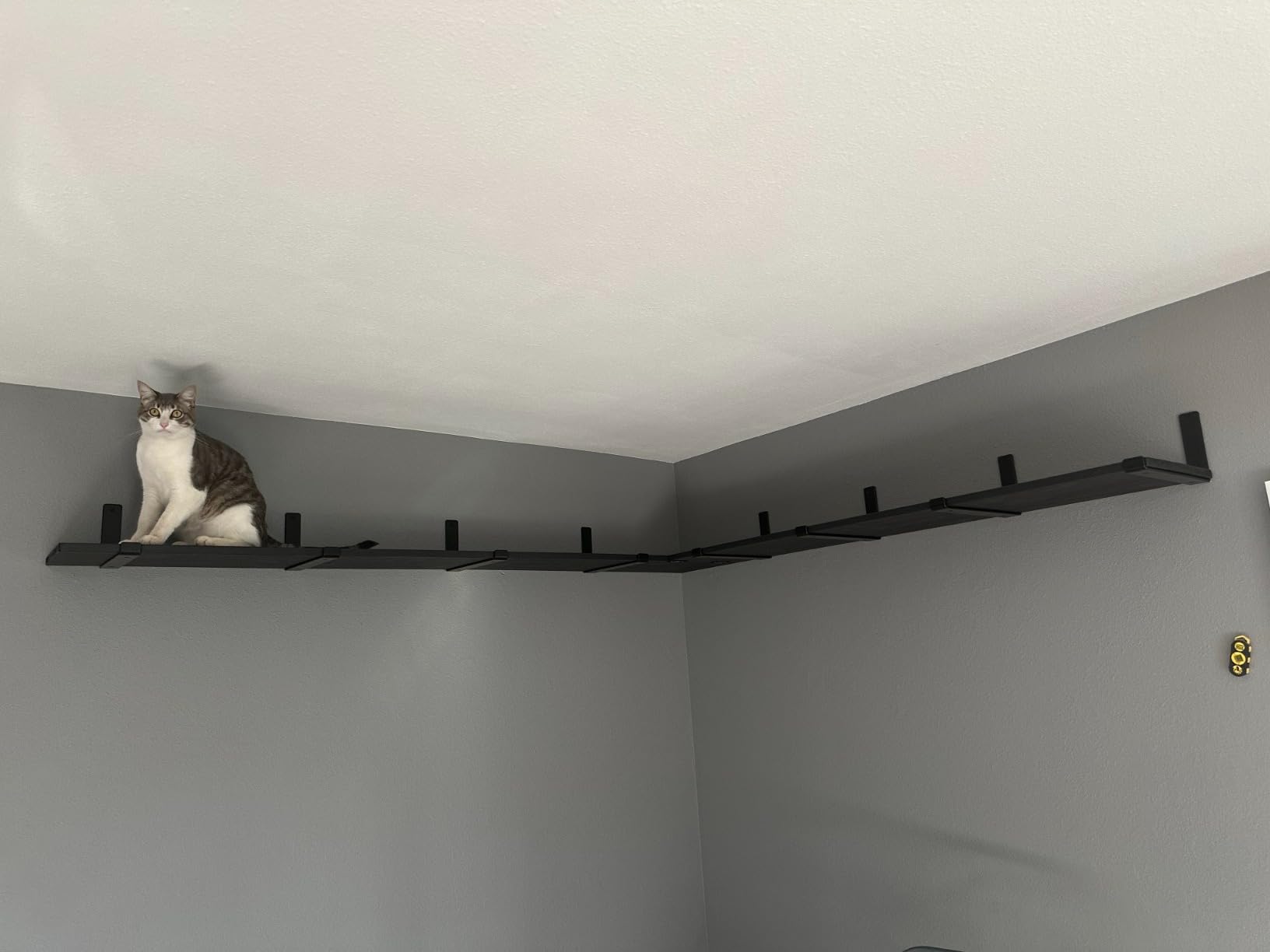 12 inch Shelf Brackets for DIY Floating Shelf, 1/5 inch Thick Heavy Duty Floating Shelf Bracket, Fit for Home, Kitchen, Bathroom, Garage, Living Room, 6-Pack Black, 11.25