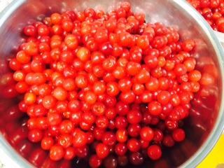 Leifheit Cherry Stoner Remover - Stainless Steel Plunger Pits 25 Lbs/Hour, Easy-Clean Container, Dishwasher Safe, Ideal for Pies, Canning, Snacking, German Design, Replacement Parts - White customer photo 1