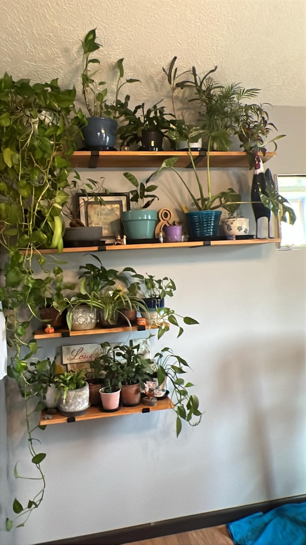 LEOPO 12 inch Shelf Brackets 6-Pack ,1/5 inch Thick Heavy Duty Industrial Bracket for DIY Floating Shelf Support, Black Coated Wall Shelf Support 11.25