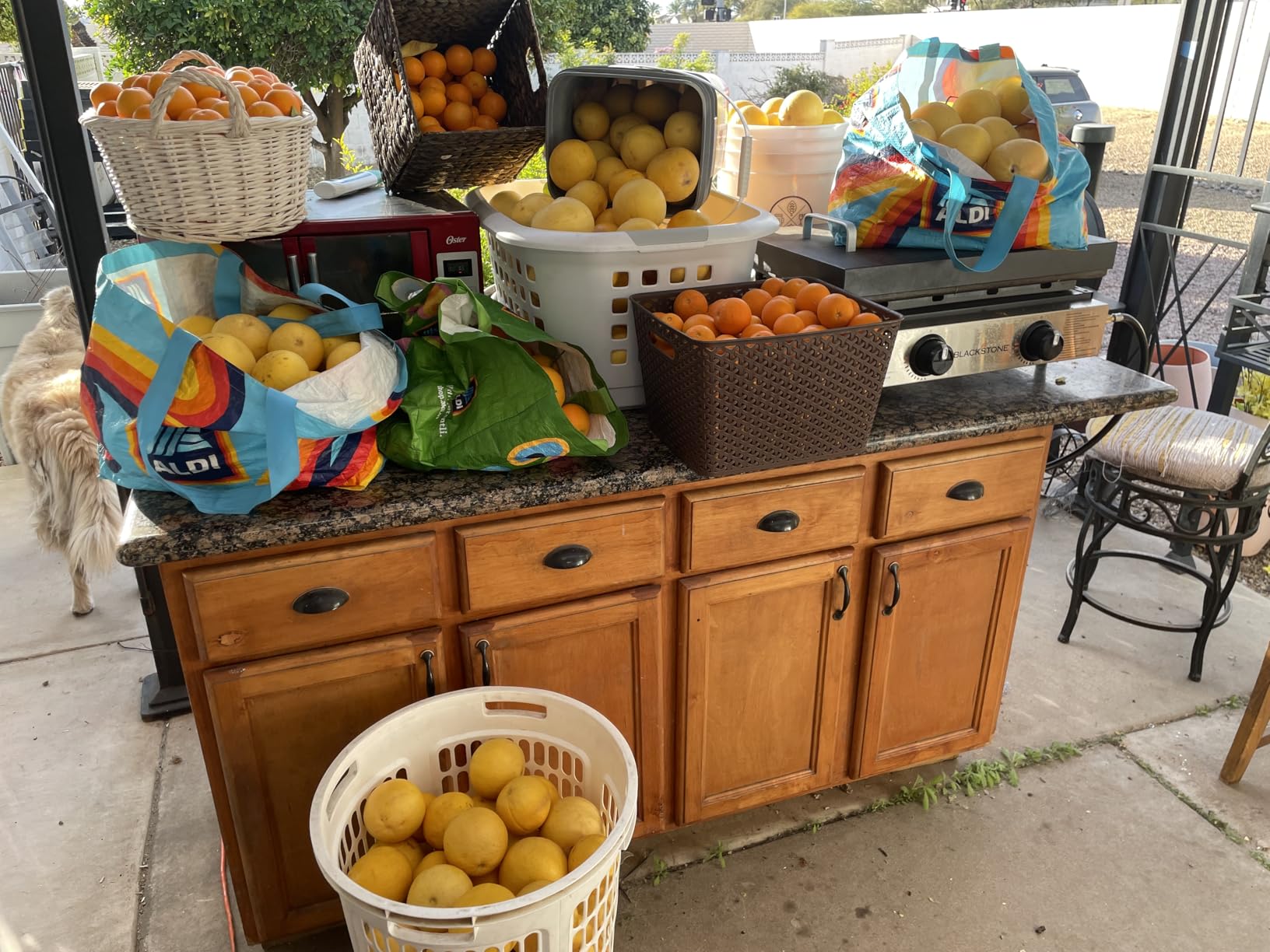 LEBENLANG Orange Juicer Electric - 2 cones & BPA-free | High juice yield & Large Volume | 24oz Lemon Juicer Squeezer | Electric Citrus Juicer Orange Juice Press Juicers Exprimidor De Naranjas Limones customer photo 1