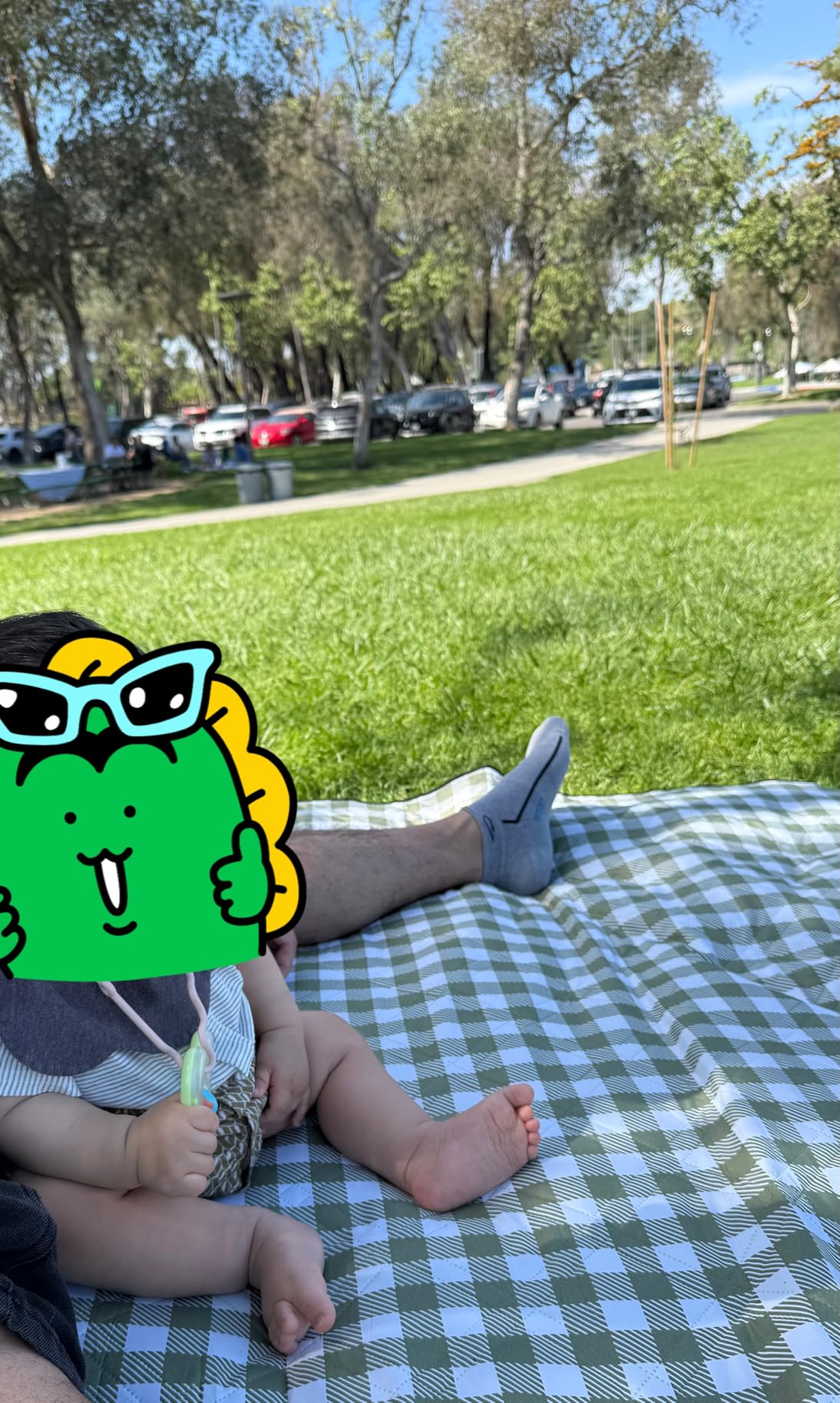 ZAZE Extra Large Picnic Outdoor Blanket, 80''x80'' Waterproof Foldable Blankets Gingham Picnic Mat for Beach, Camping Grass Lawn Park Accessories Cute Couple Gifts Ideas Wedding Registry(Green White) customer photo 1