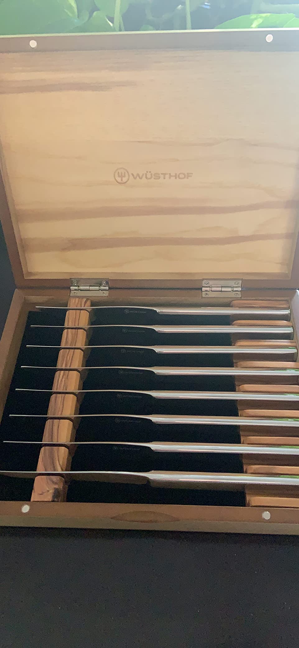WÜSTHOF 8-Piece Stainless Mignon Steak Knife Set, Silver customer photo 2