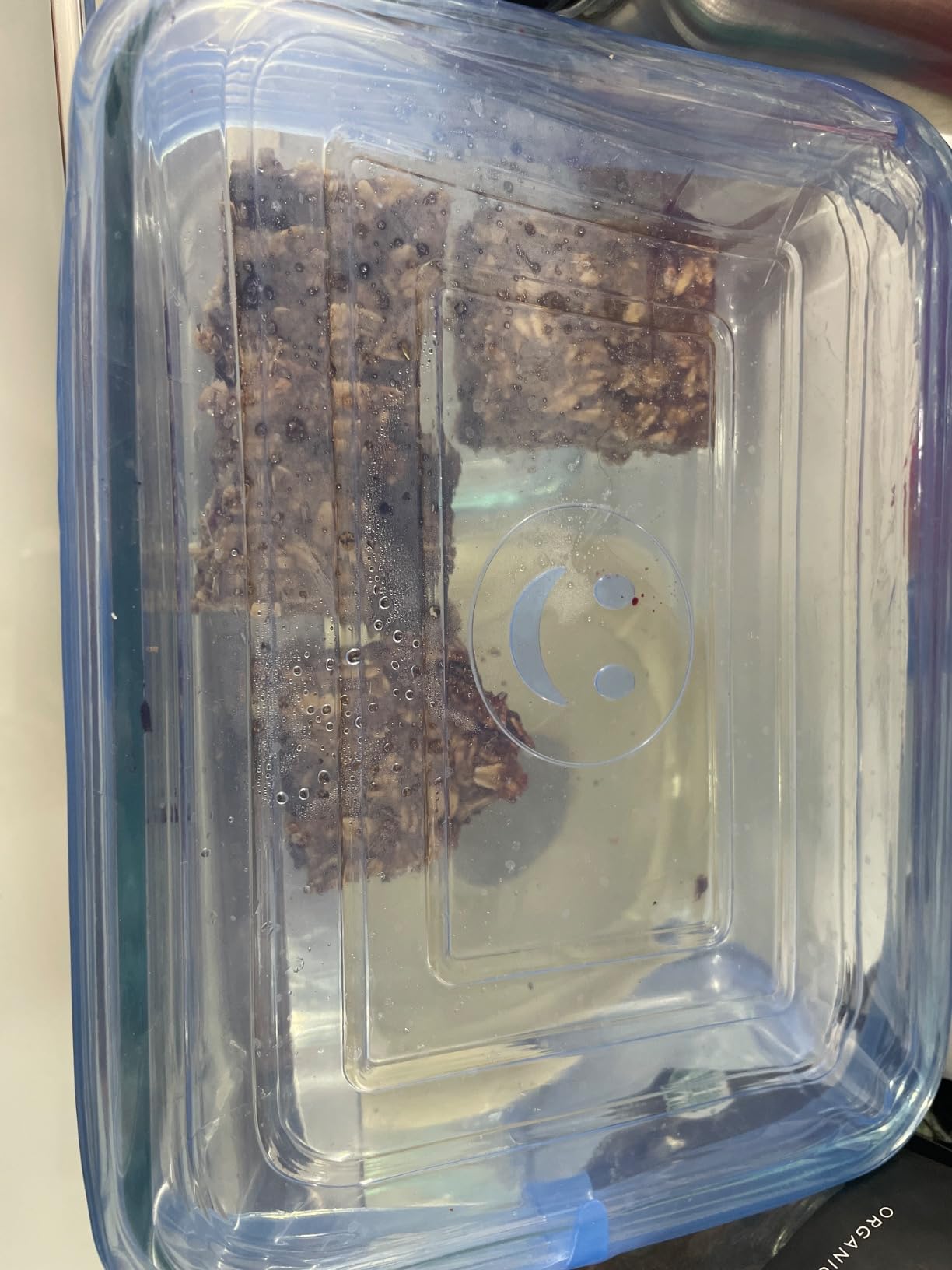 Silicone Stretch Lids for Food Storage in Fridge, 12 Pack Silicone Lids, Reusable Food Grade Silicone Bowl Covers for Cups, Bowls and Dish, 6 Sizes Round and Rectangle Shape customer photo 1