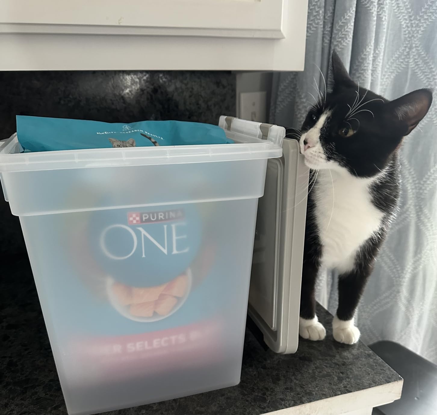 IRIS USA Airtight Dog Food Storage Container, Up to 54 lbs, Attachable Wheels, For Dog Cat Bird and Other Pet Food Storage Bin, Keep Fresh, Translucent Body, Easy Mobility, Black customer photo 2