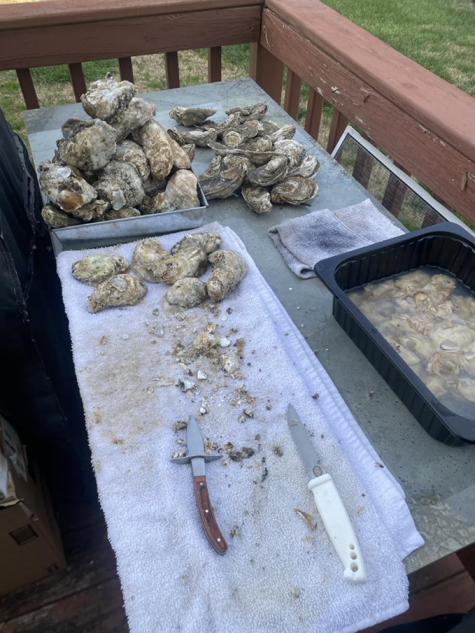 Oyster Shucking Knife,Oyster Shucker,2 Set Sturdy Sharpness Oyster Knife With Comfort Wood-handle,Oyster Shucking Kit With 1 Pairs Of Level 5 Protection Cut-resistant Gloves(L) For Oyster Clam customer photo 1