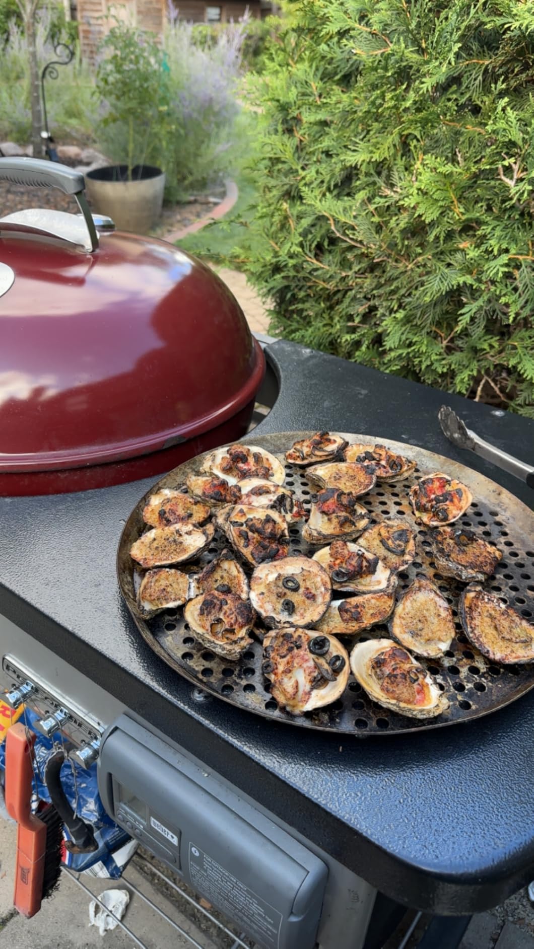 Oyster Shucking Knife,Oyster Shucker,2 Set Sturdy Sharpness Oyster Knife With Comfort Wood-handle,Oyster Shucking Kit With 1 Pairs Of Level 5 Protection Cut-resistant Gloves(L) For Oyster Clam customer photo 2