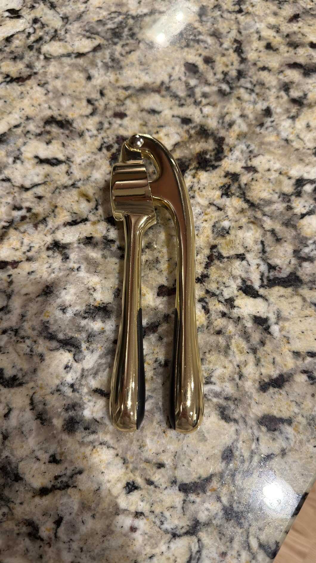 Kitessensu High Effective Garlic Press With Studs, Heavy Duty Garlic Mincer, Easy to Squeeze and Clean, Rust Proof, Ginger Crusher- Imperial Silver customer photo 1