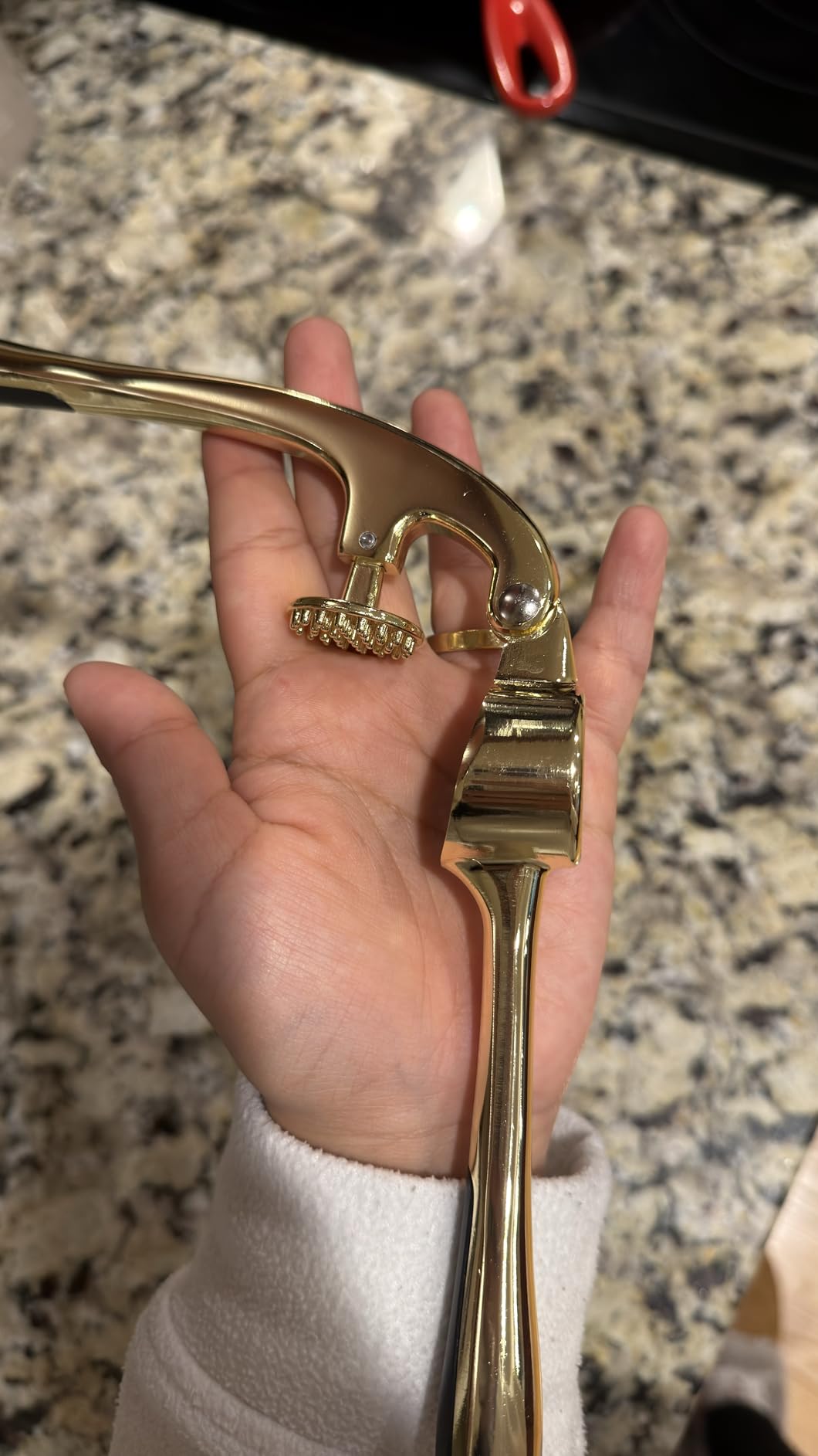 Kitessensu High Effective Garlic Press With Studs, Heavy Duty Garlic Mincer, Easy to Squeeze and Clean, Rust Proof, Ginger Crusher- Imperial Silver customer photo 2